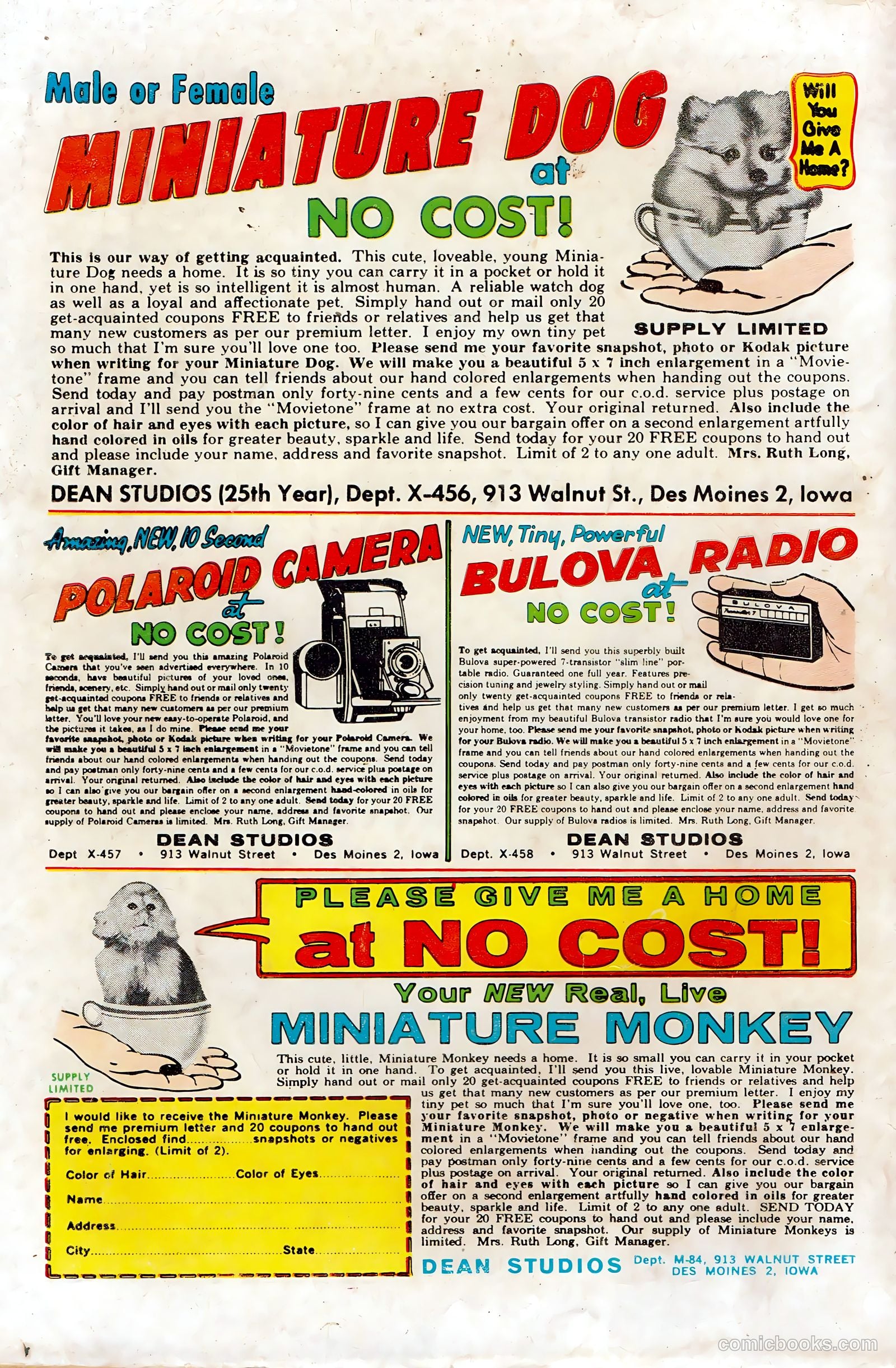 Hot Rods and Racing Cars #58 — page 36 of 36