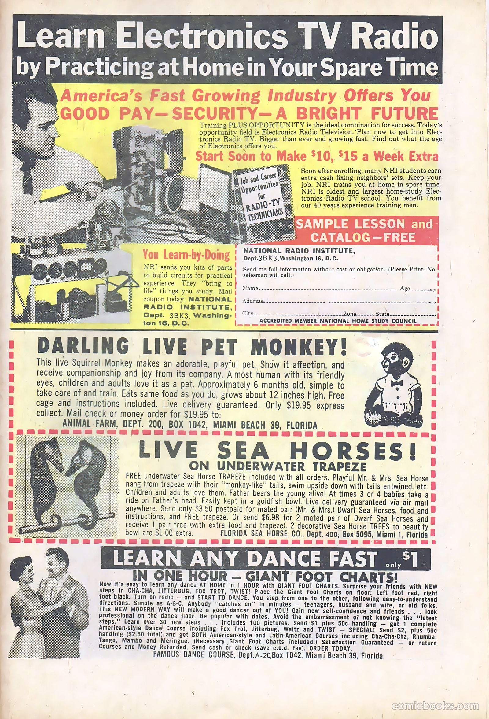 Hot Rods and Racing Cars #63 — page 31 of 36