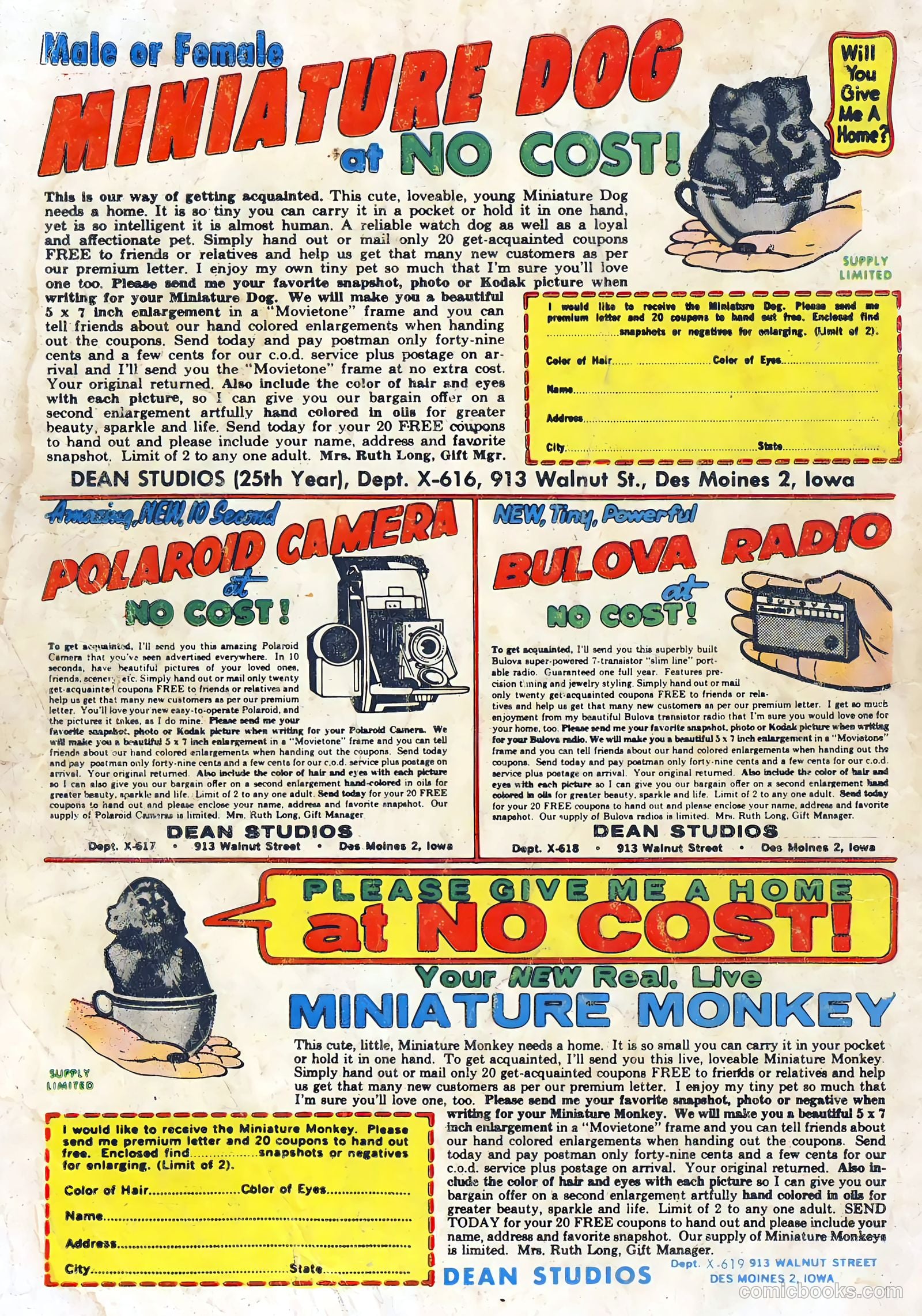 Hot Rods and Racing Cars #64 — page 36 of 36