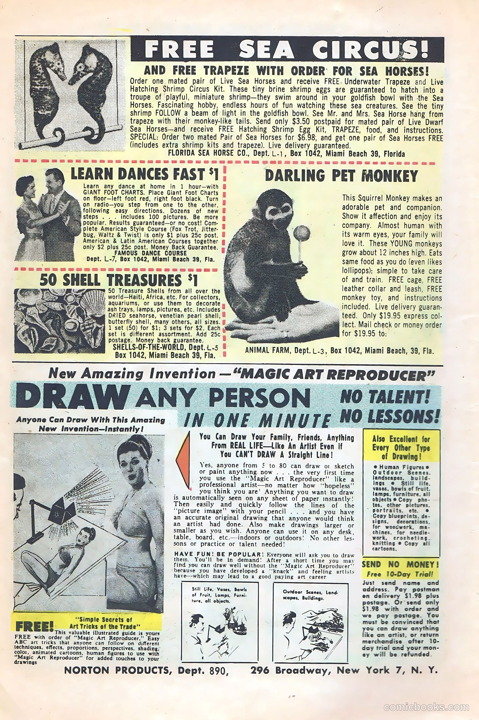 Hot Rods and Racing Cars #66 — page 6 of 36