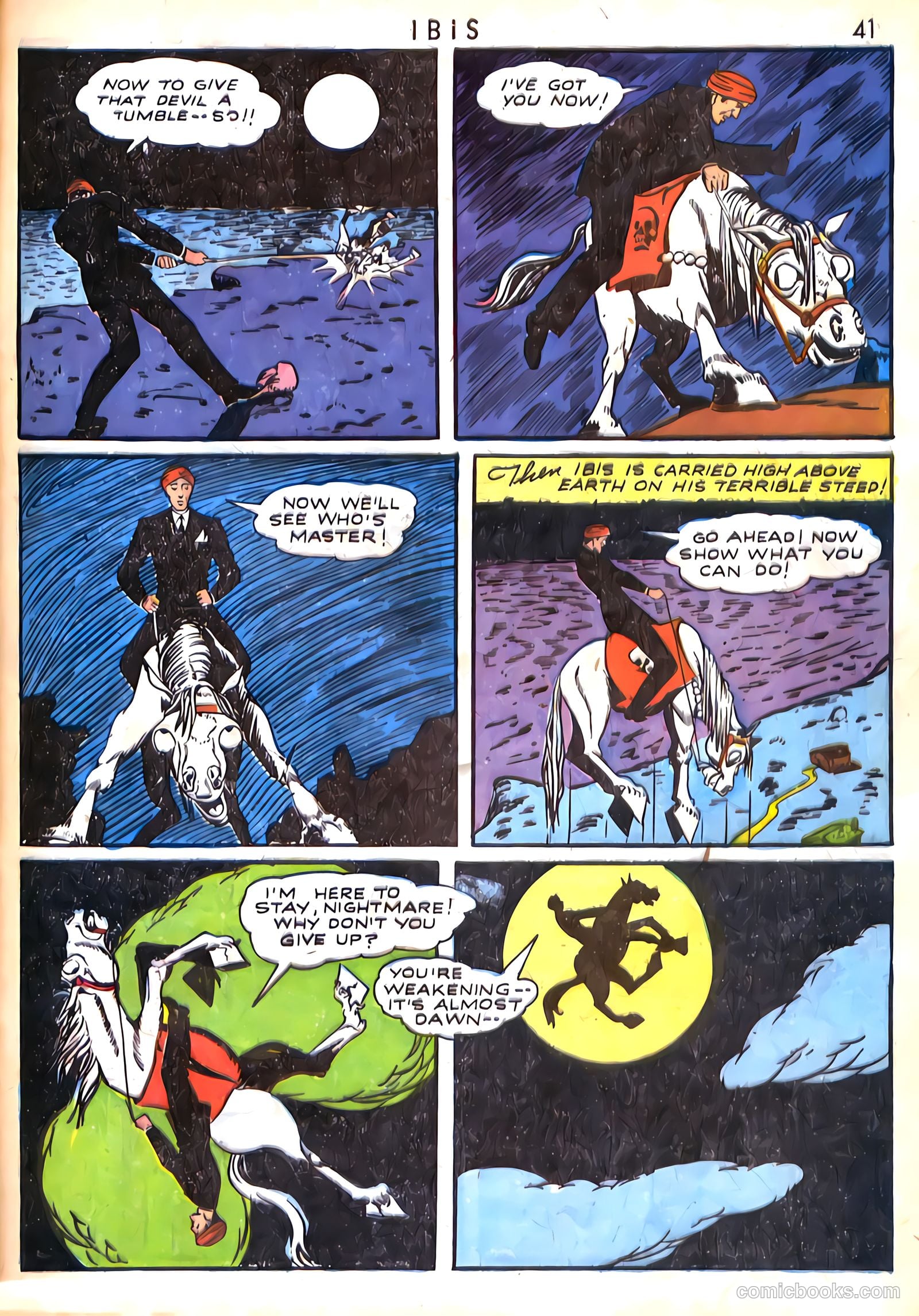 Ibis #1 — page 41 of 68