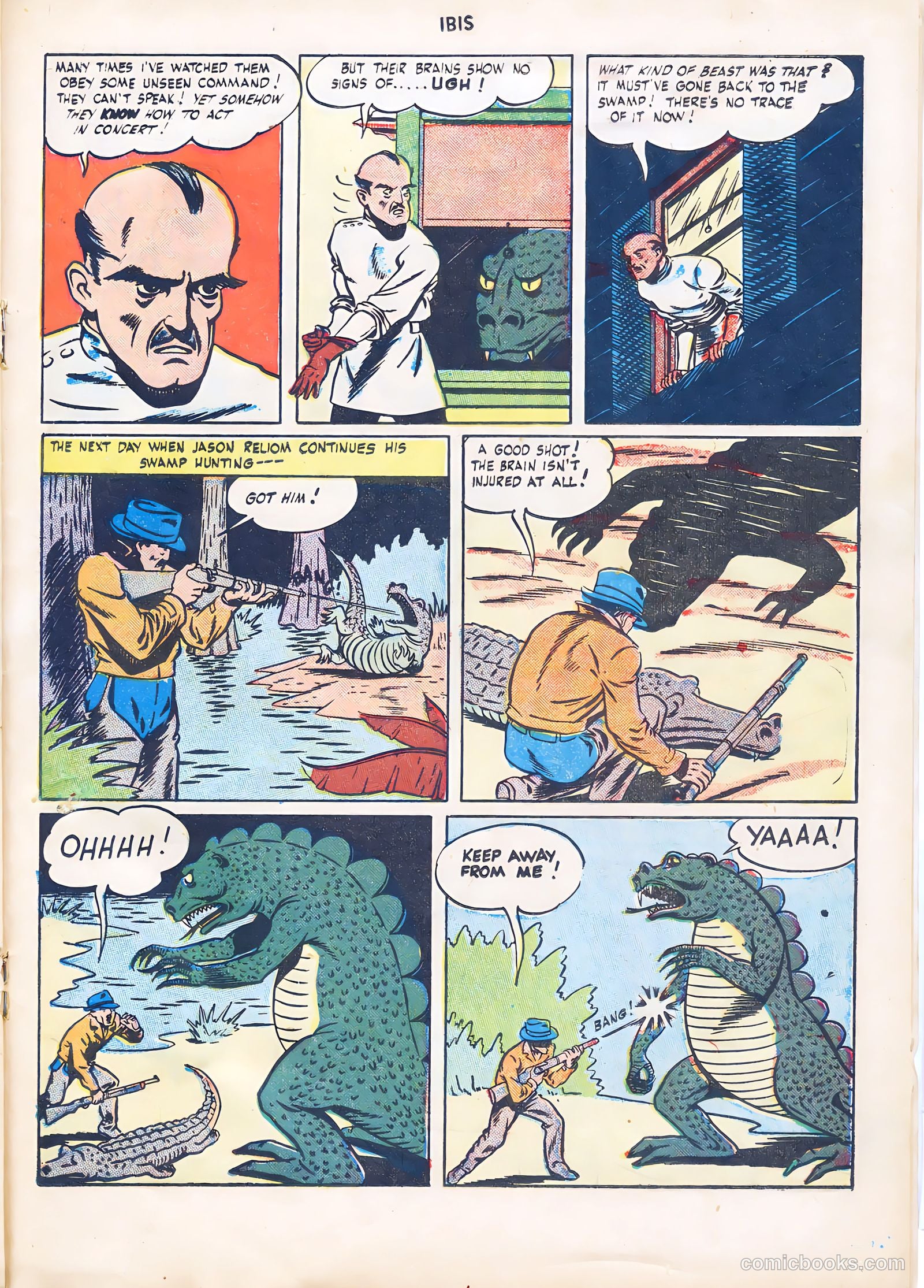 Ibis #5 — page 29 of 52