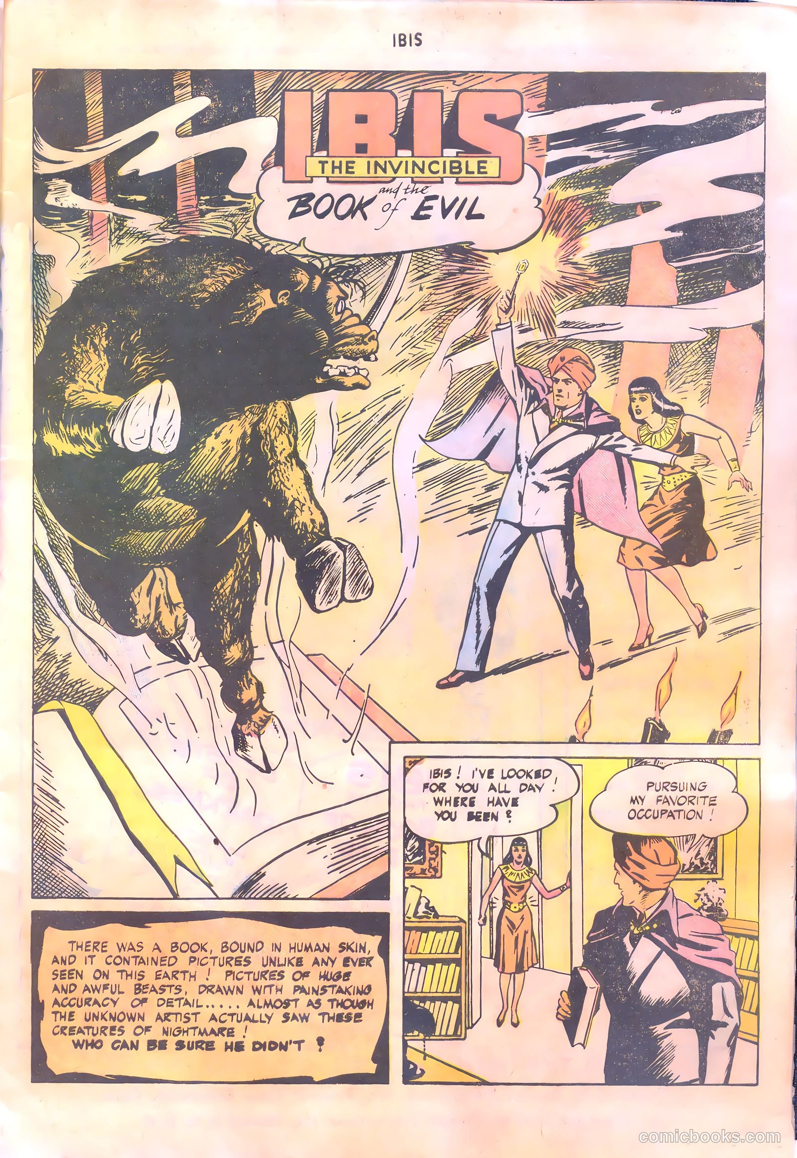 Ibis #6 — page 3 of 36