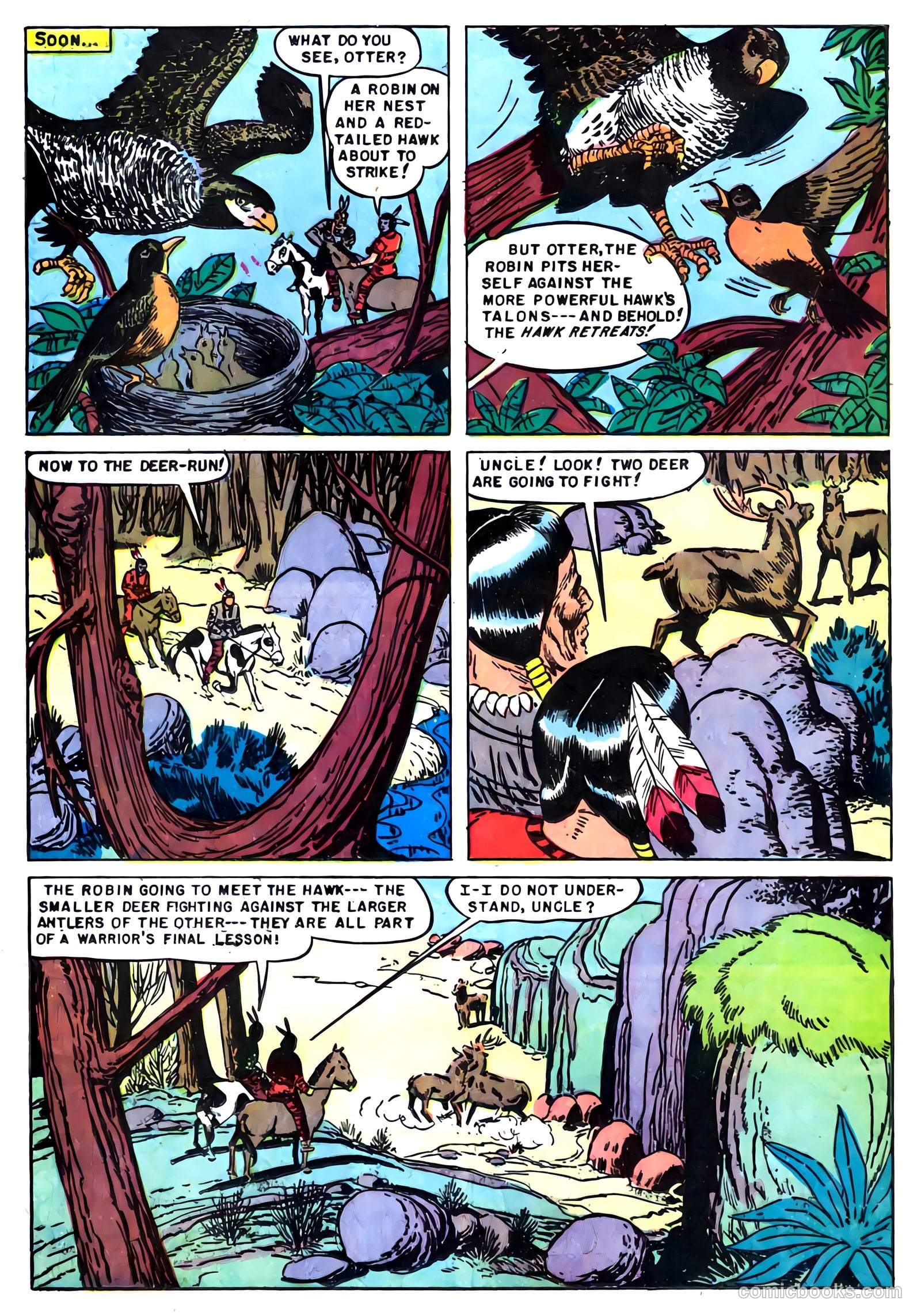 Indian Chief #7 — page 17 of 36