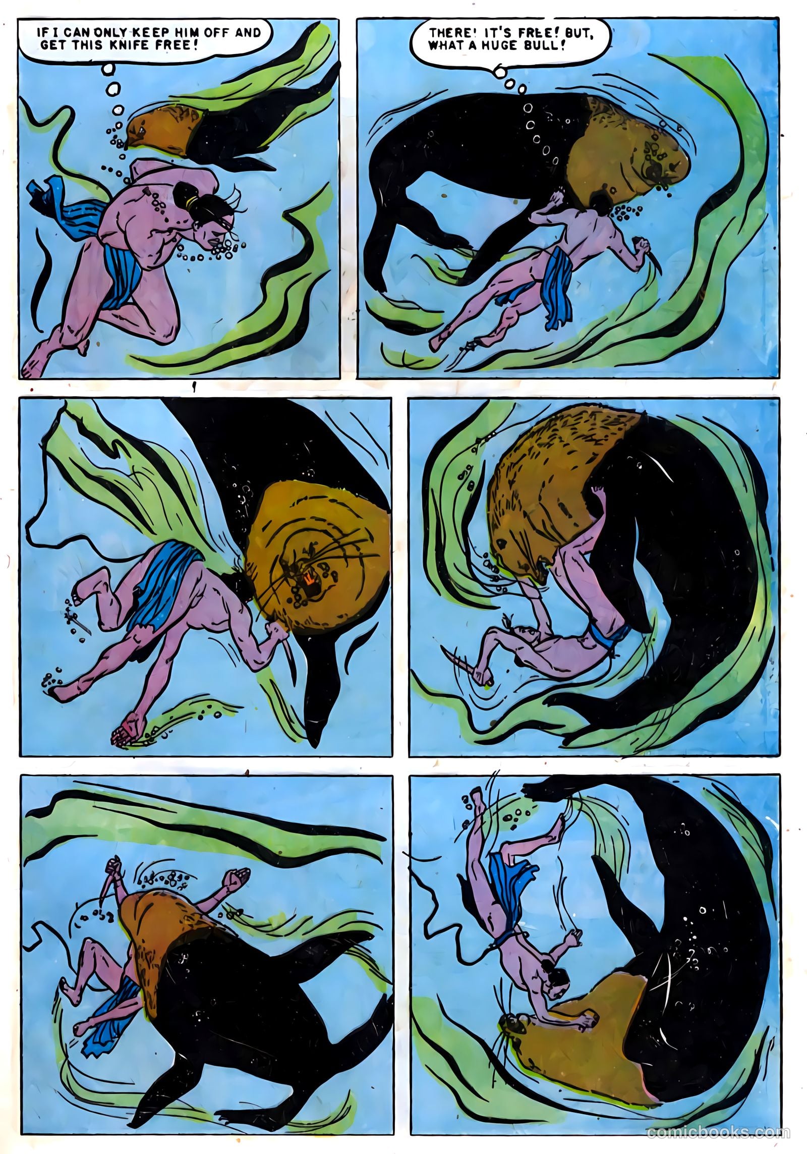 Indian Chief #8 — page 29 of 36