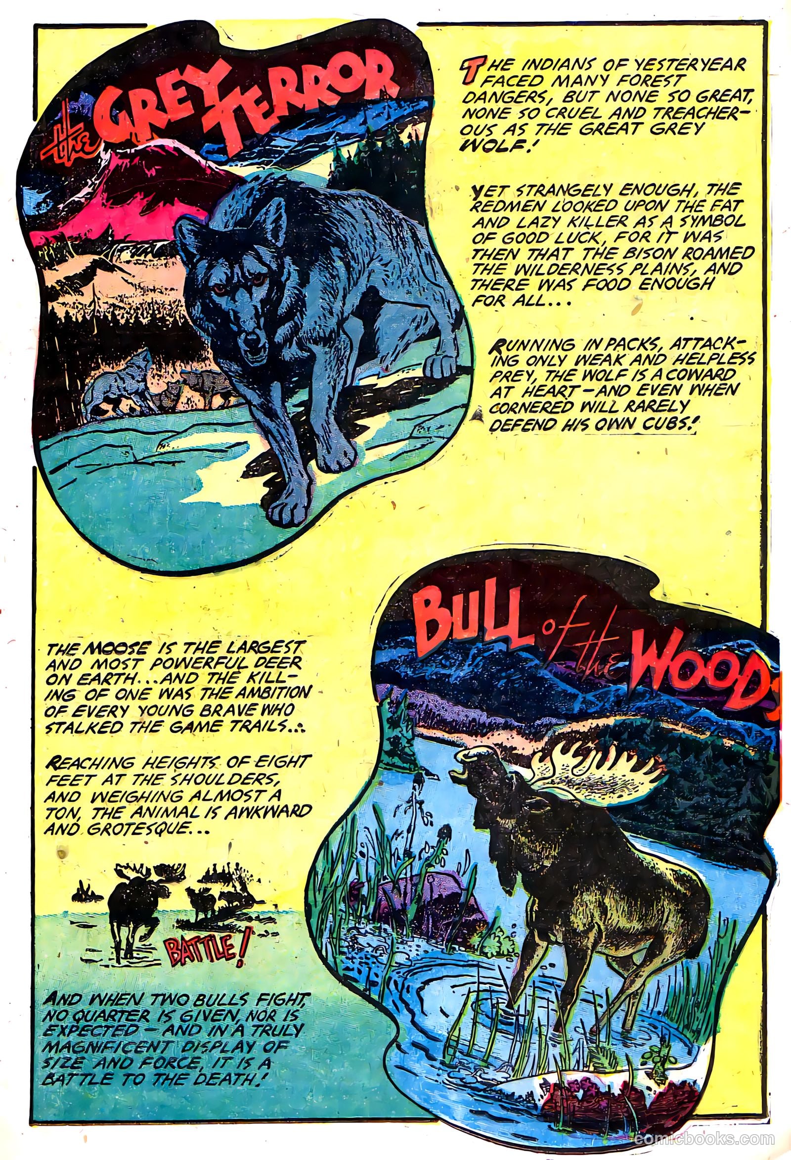 Indians #11 — page 17 of 35