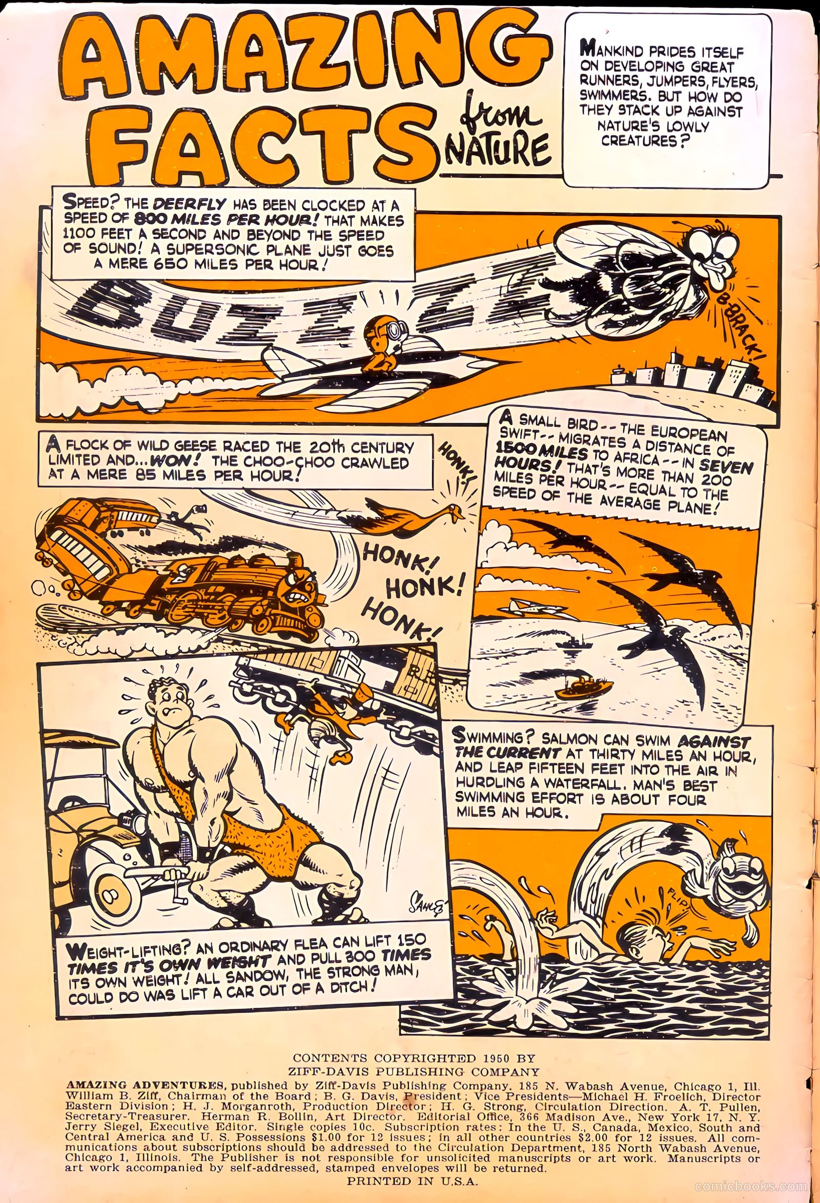 Amazing Adventures #1 — page 2 of 36
