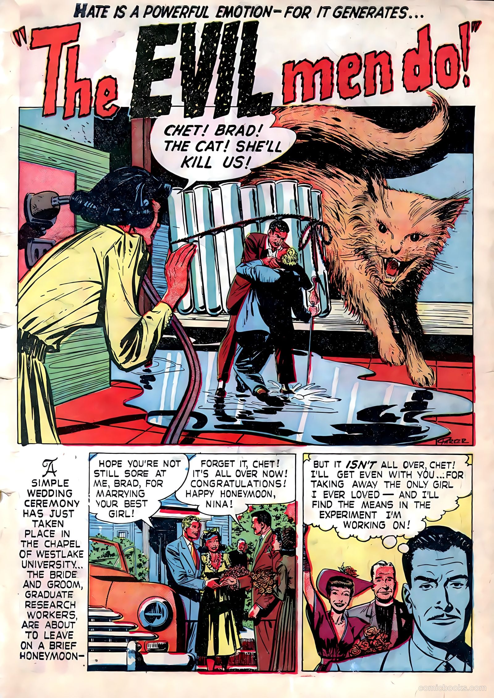 Amazing Adventures #3 — page 3 of 36