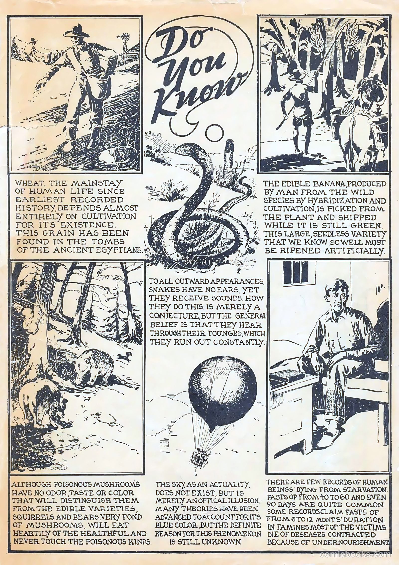 Amazing Mystery Funnies #5 — page 51 of 52
