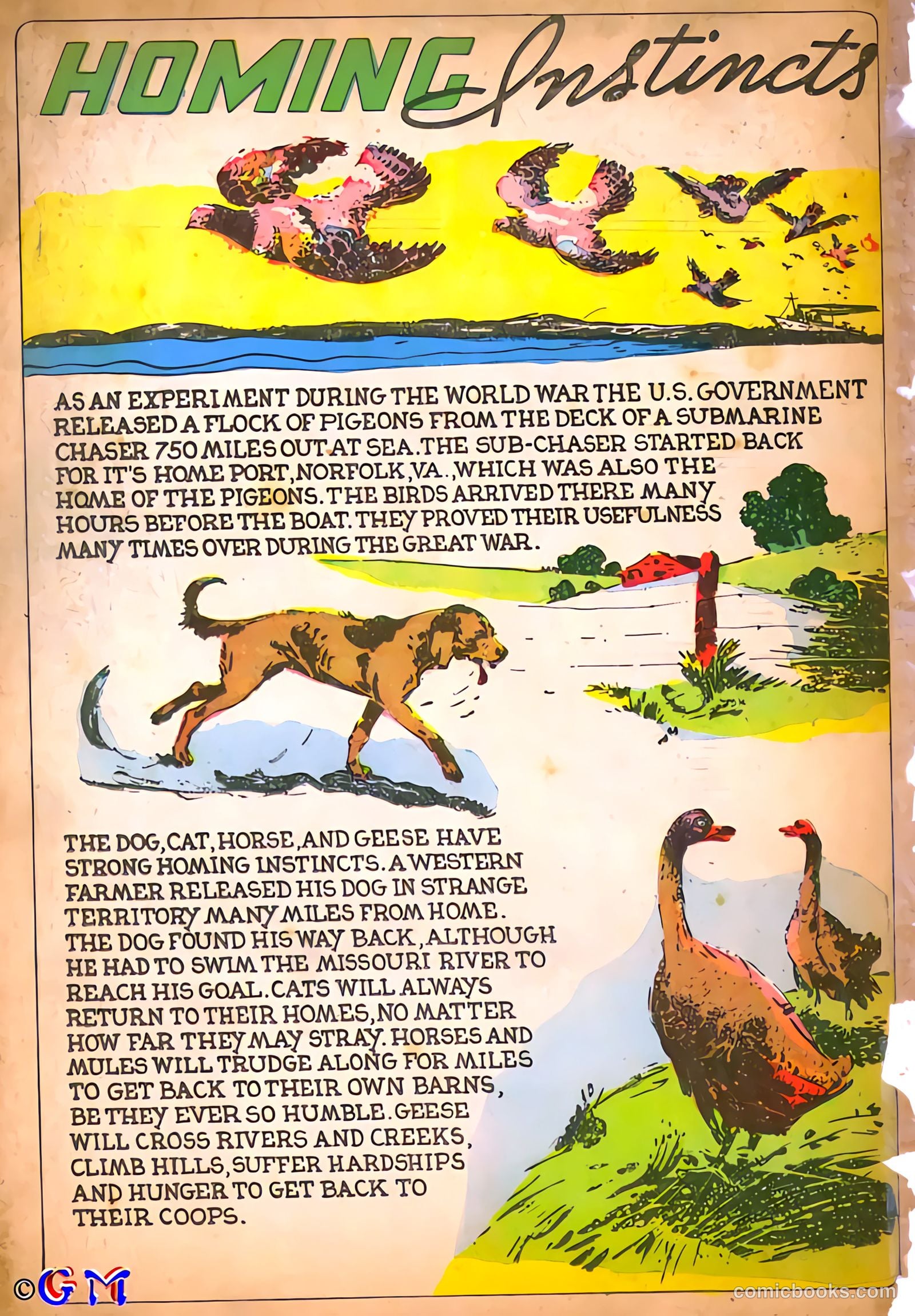 Amazing Mystery Funnies #8 — page 50 of 53