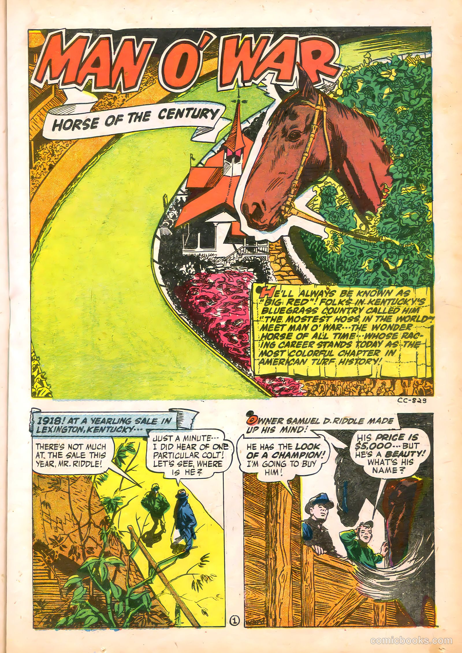 It Really Happened #8 — page 23 of 52