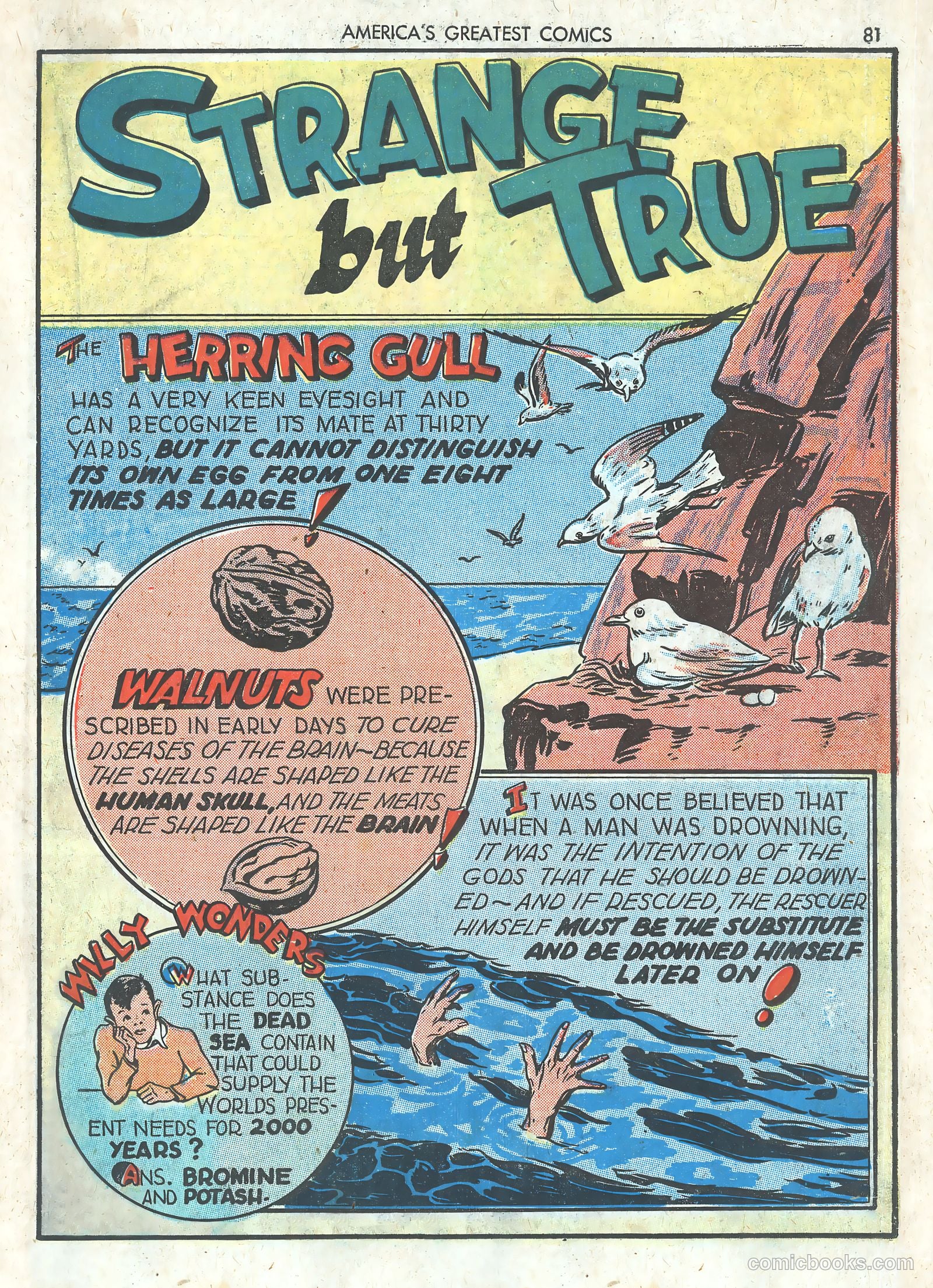 America's Greatest Comics #1 — page 83 of 101