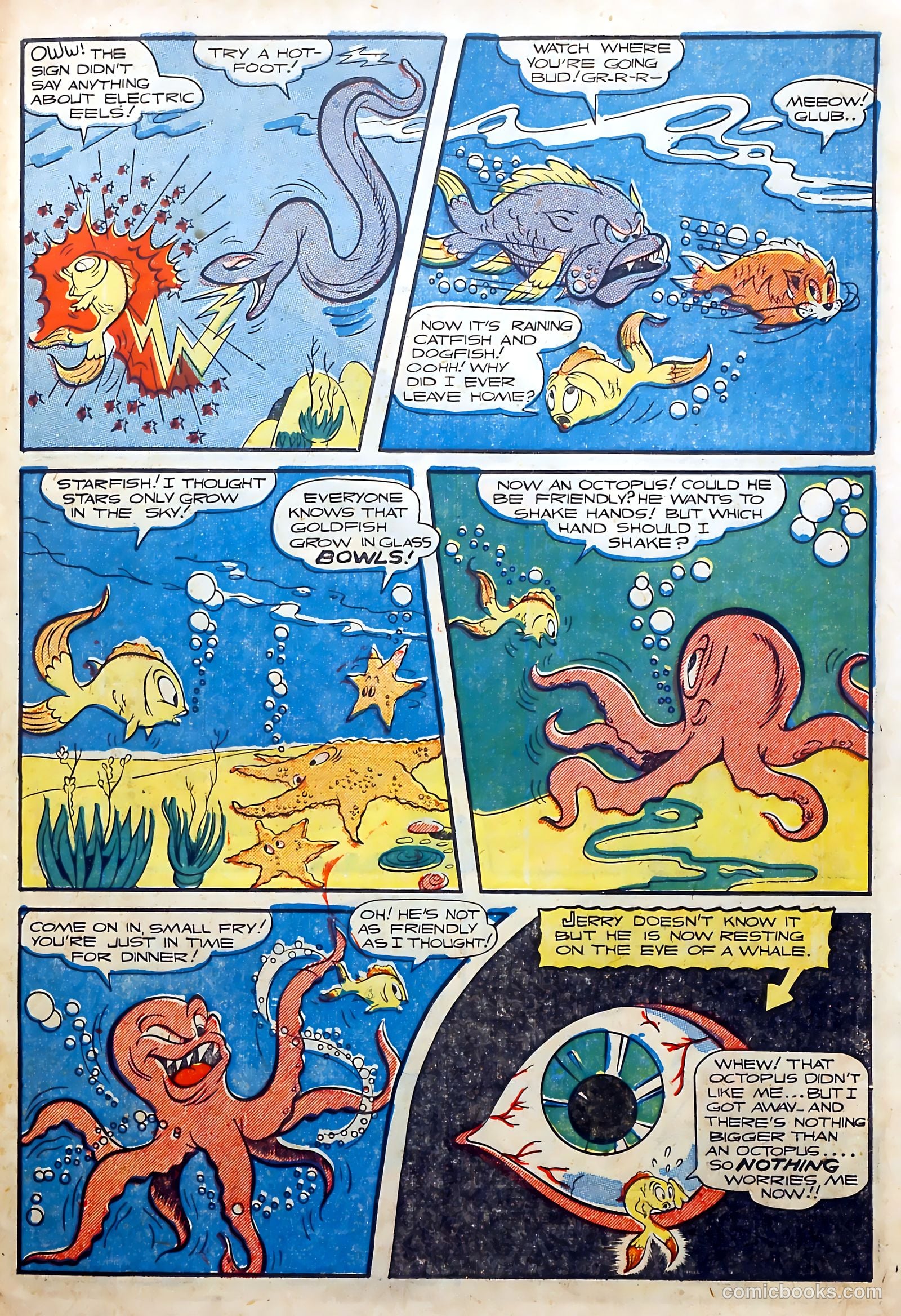 Jamboree #1 — page 37 of 52