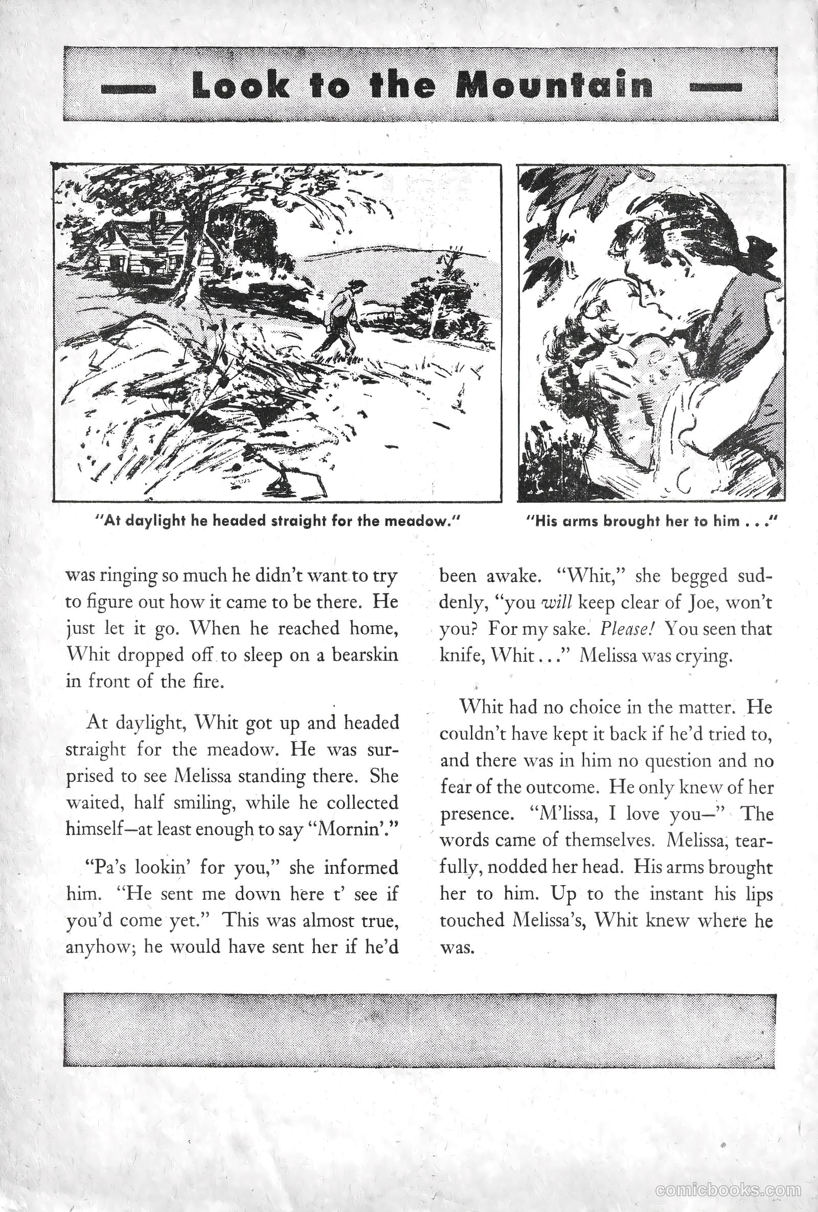 American Library #3 — page 13 of 69