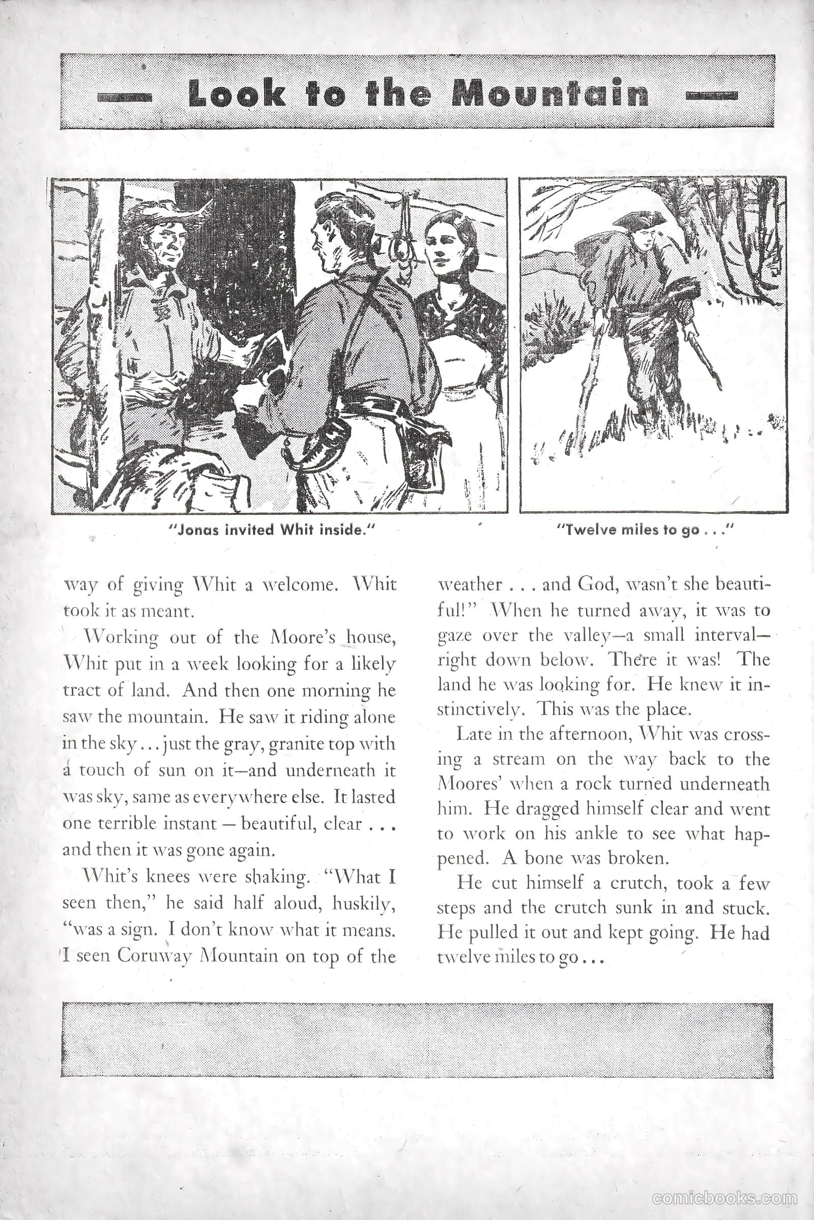 American Library #3 — page 17 of 69