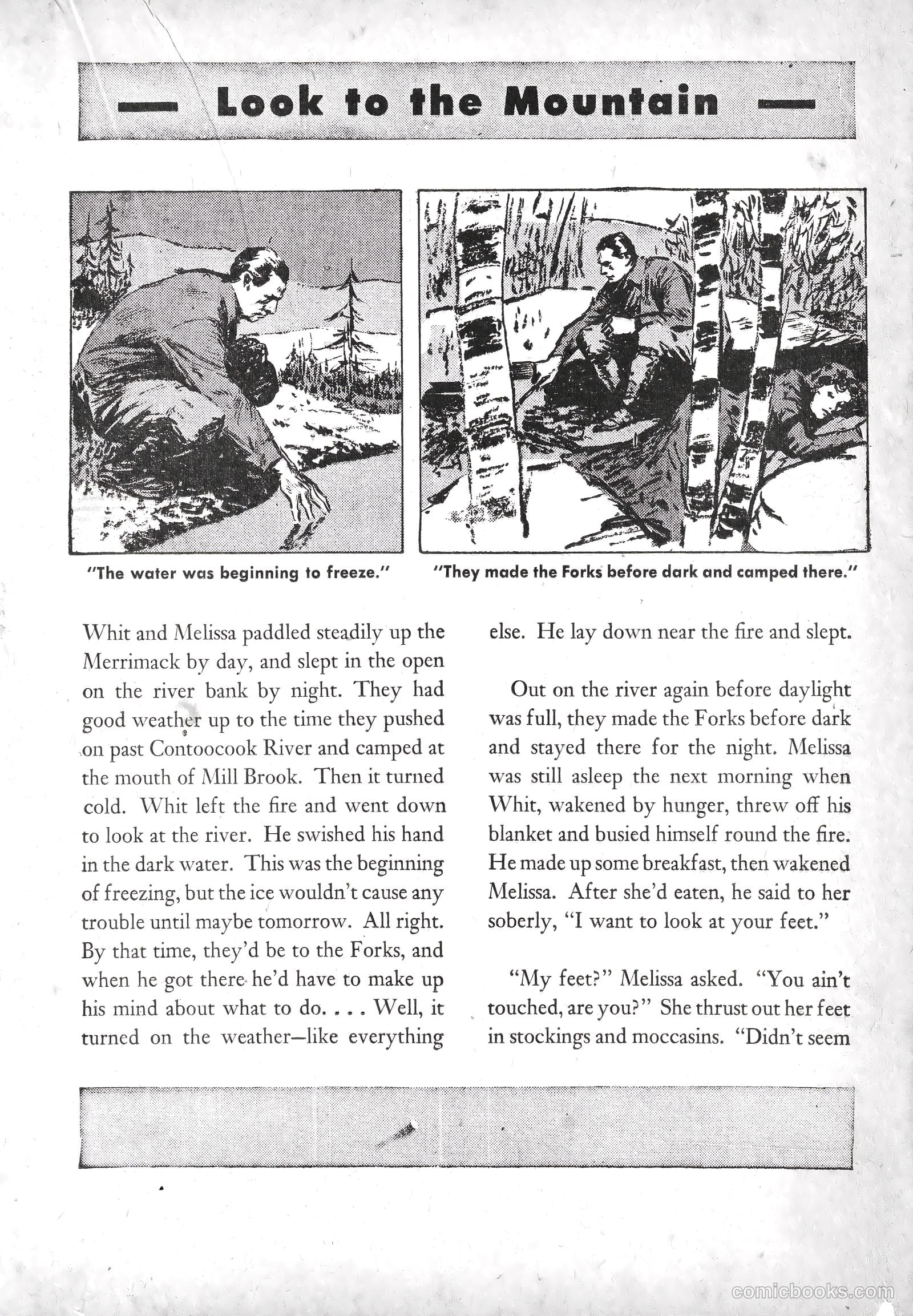 American Library #3 — page 34 of 69