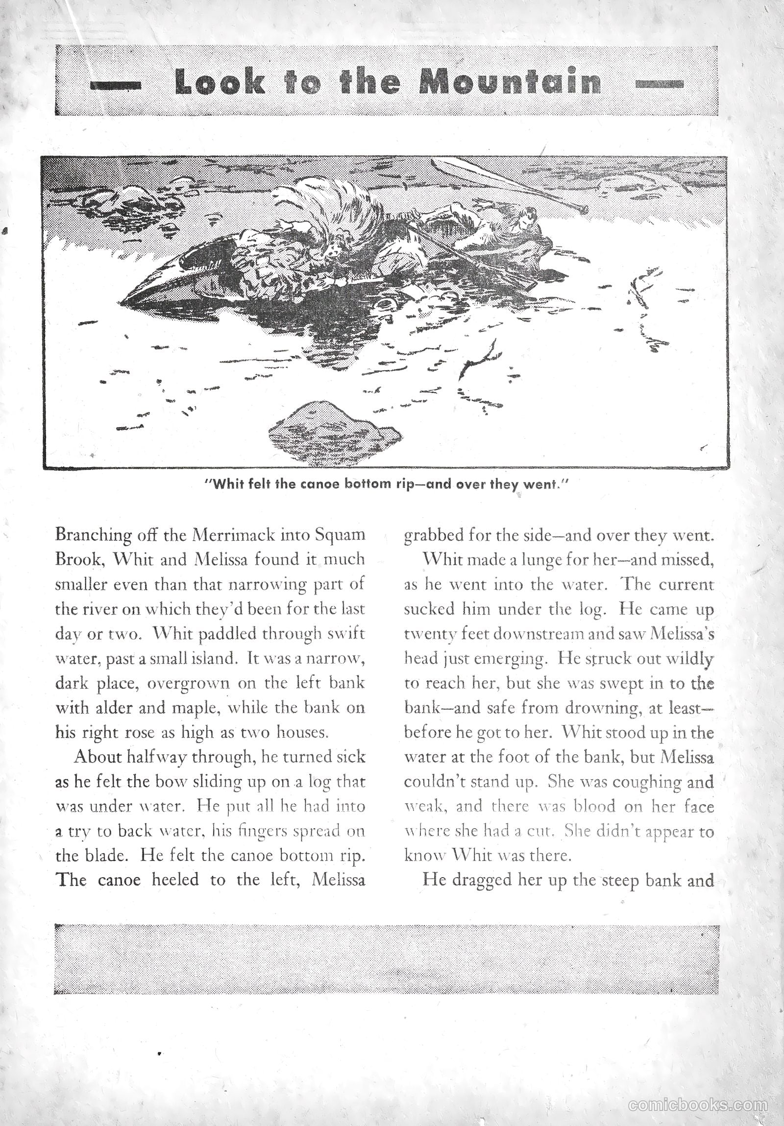 American Library #3 — page 36 of 69