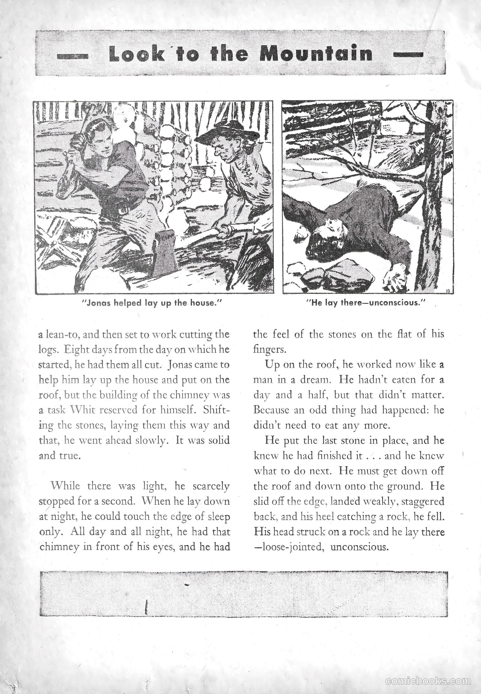 American Library #3 — page 41 of 69