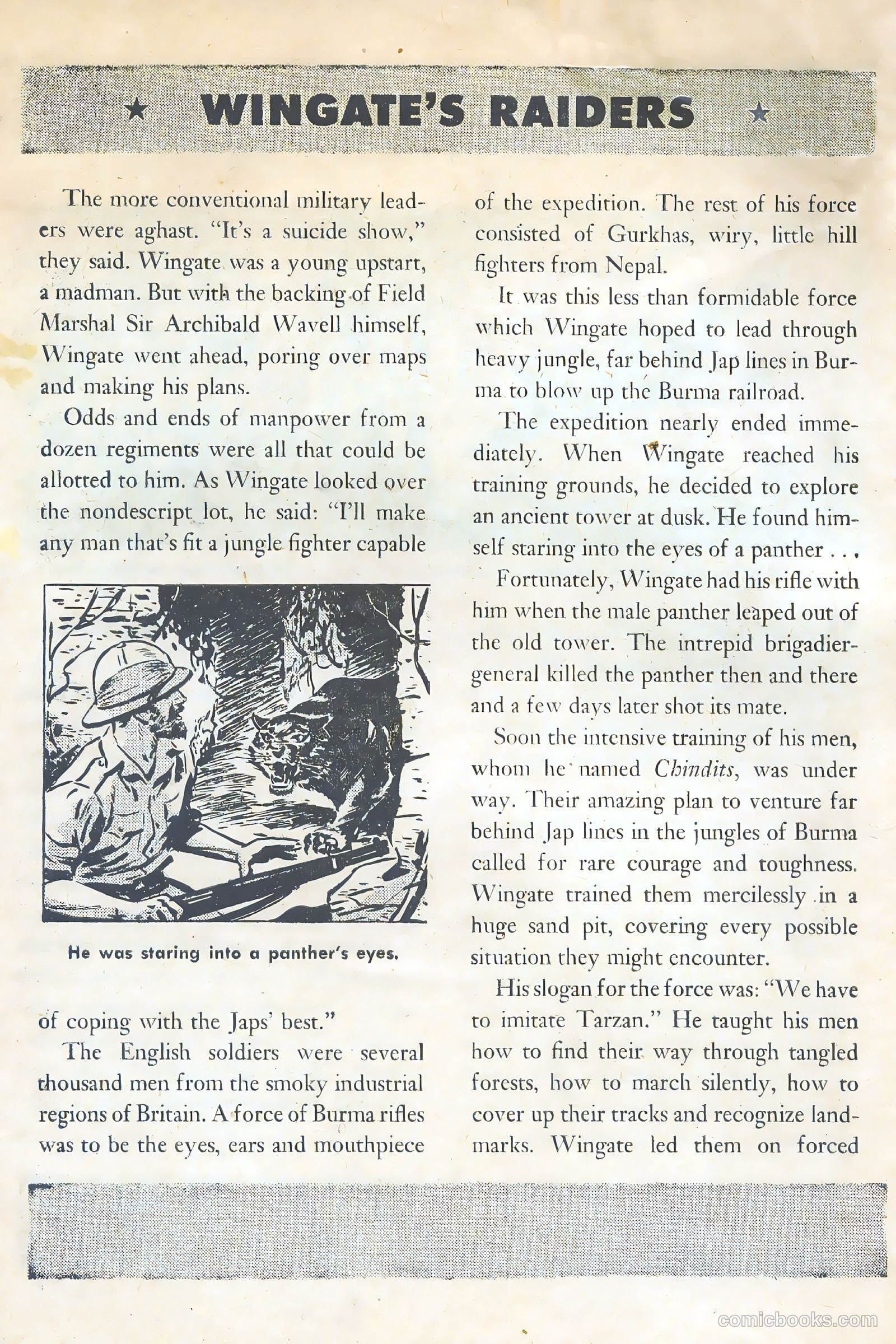 American Library #6 — page 6 of 52