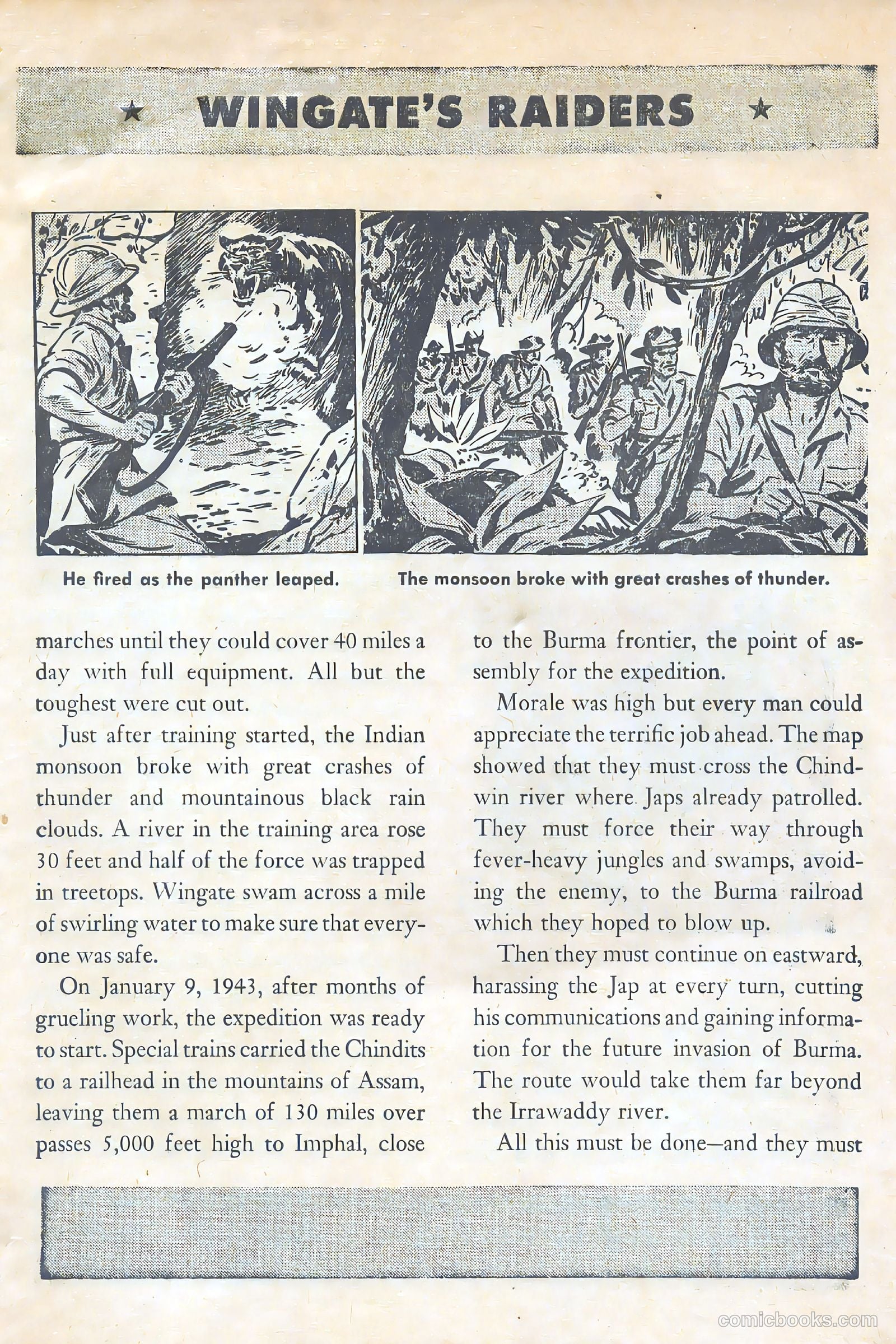 American Library #6 — page 7 of 52