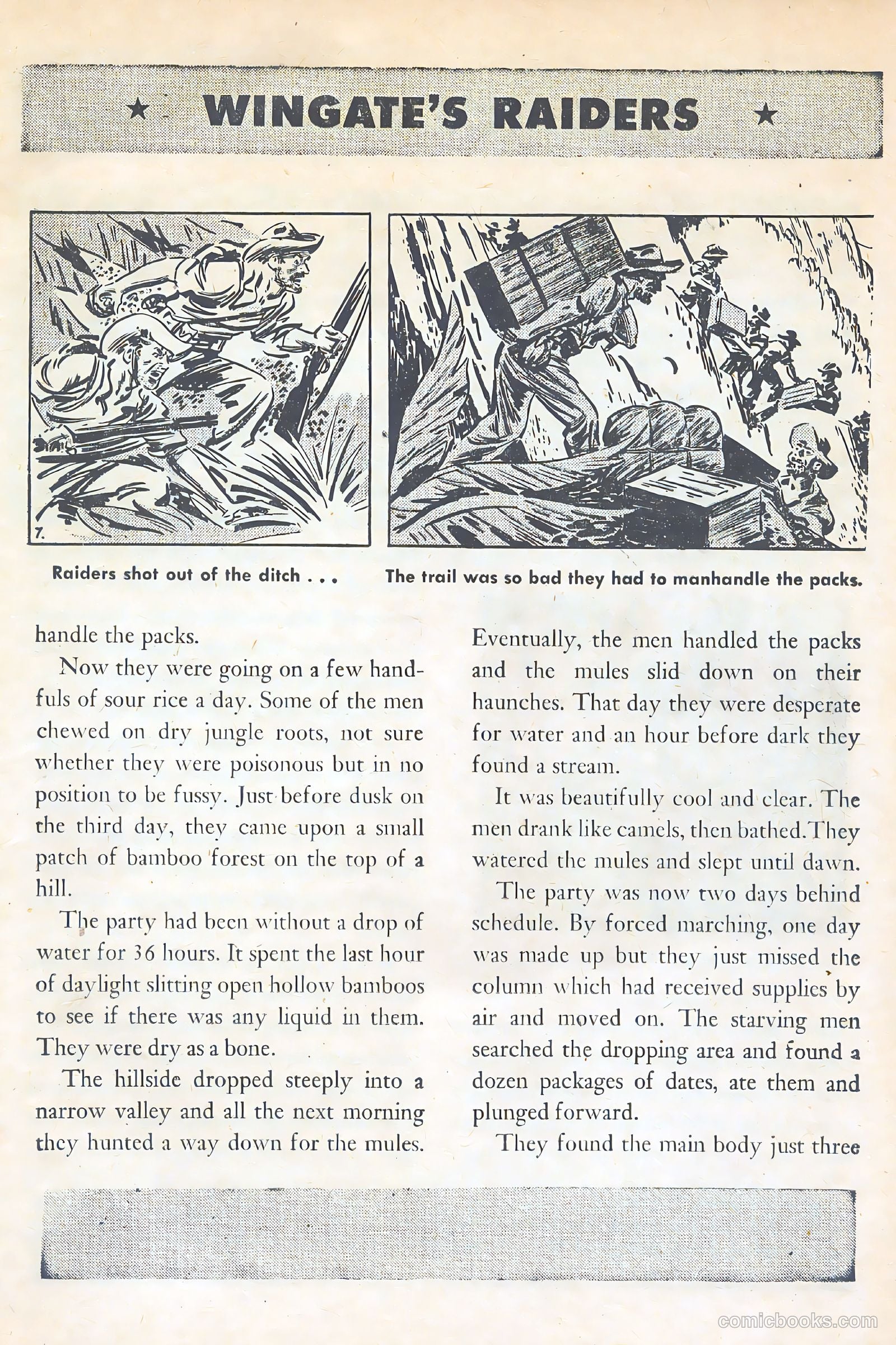 American Library #6 — page 15 of 52