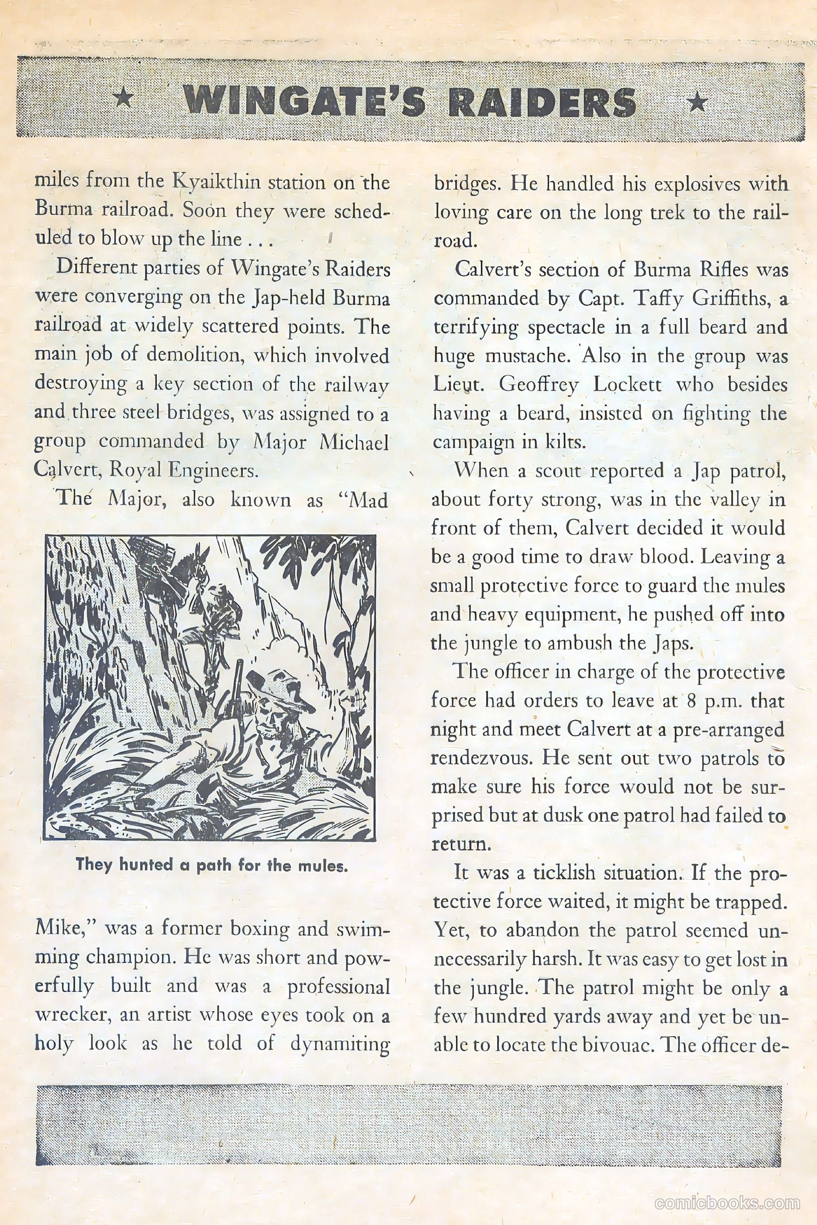 American Library #6 — page 16 of 52