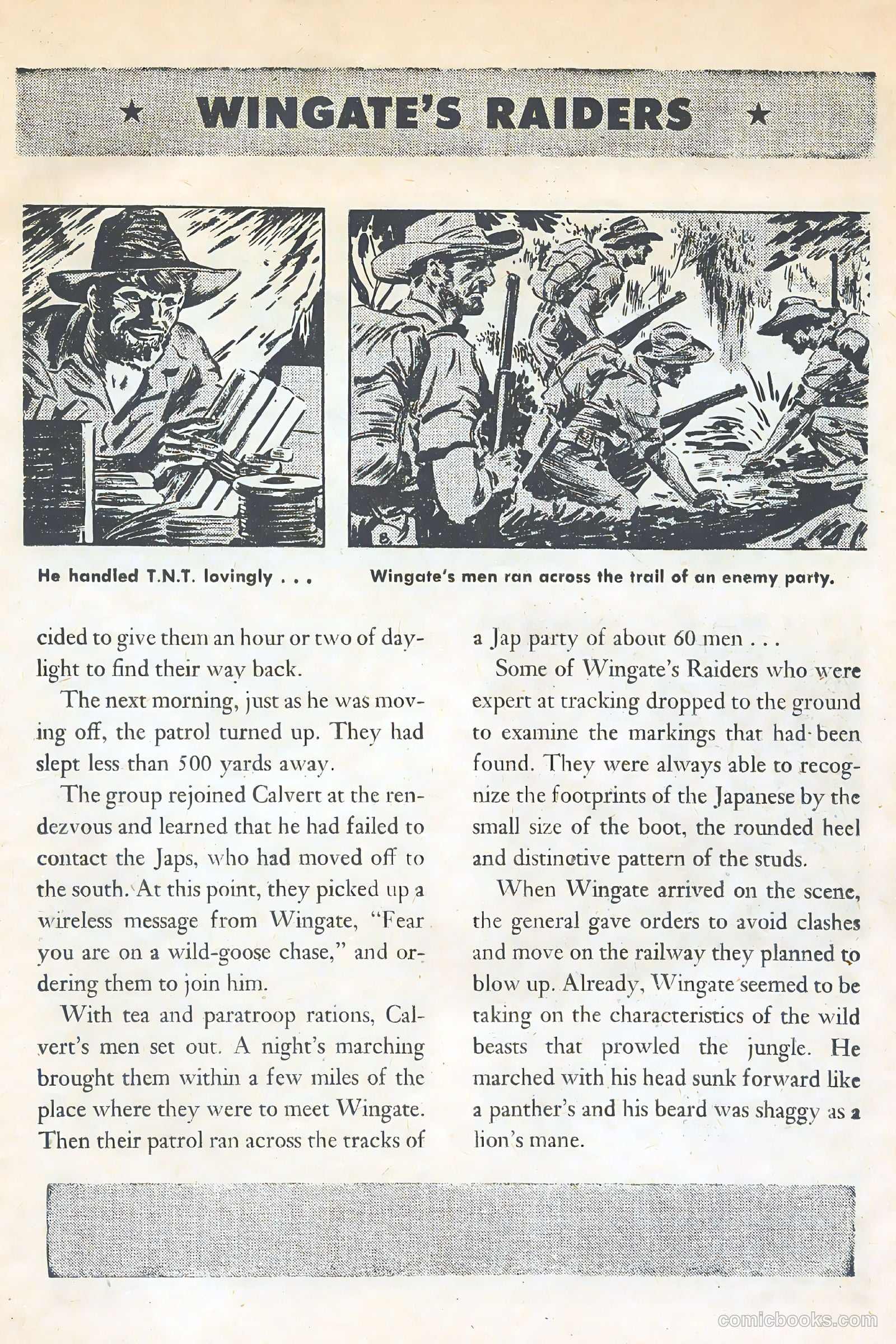 American Library #6 — page 17 of 52