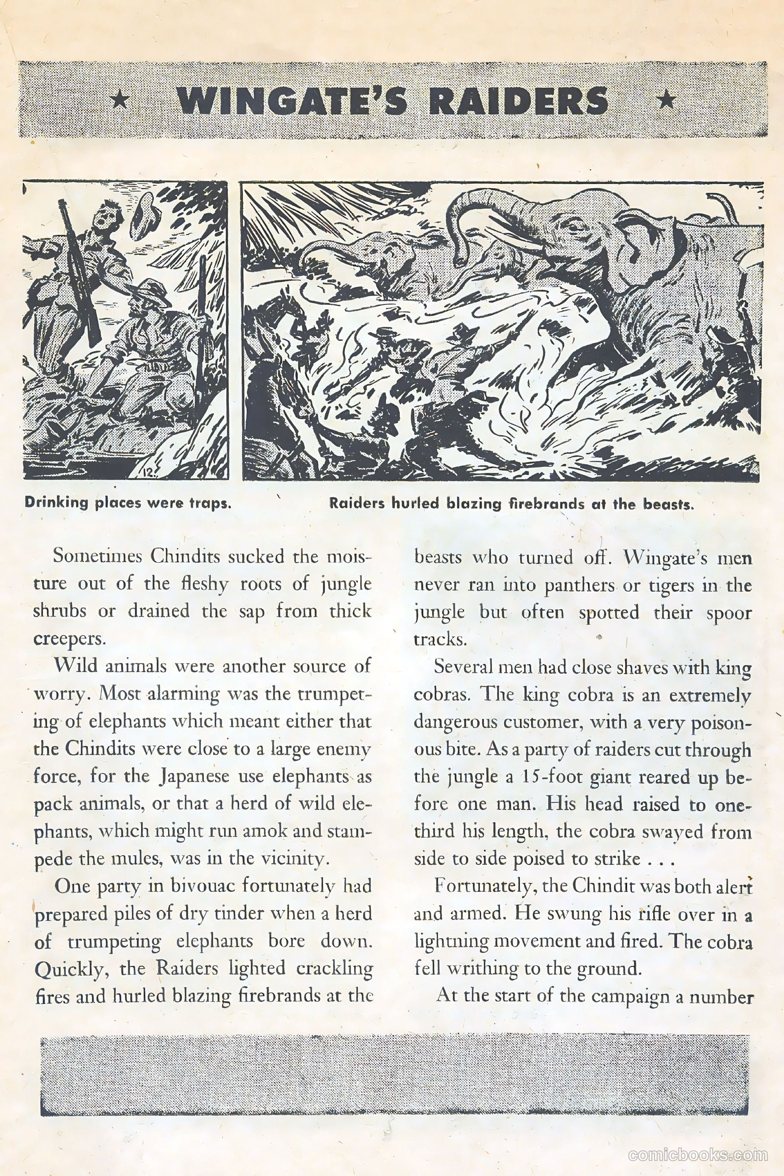 American Library #6 — page 23 of 52