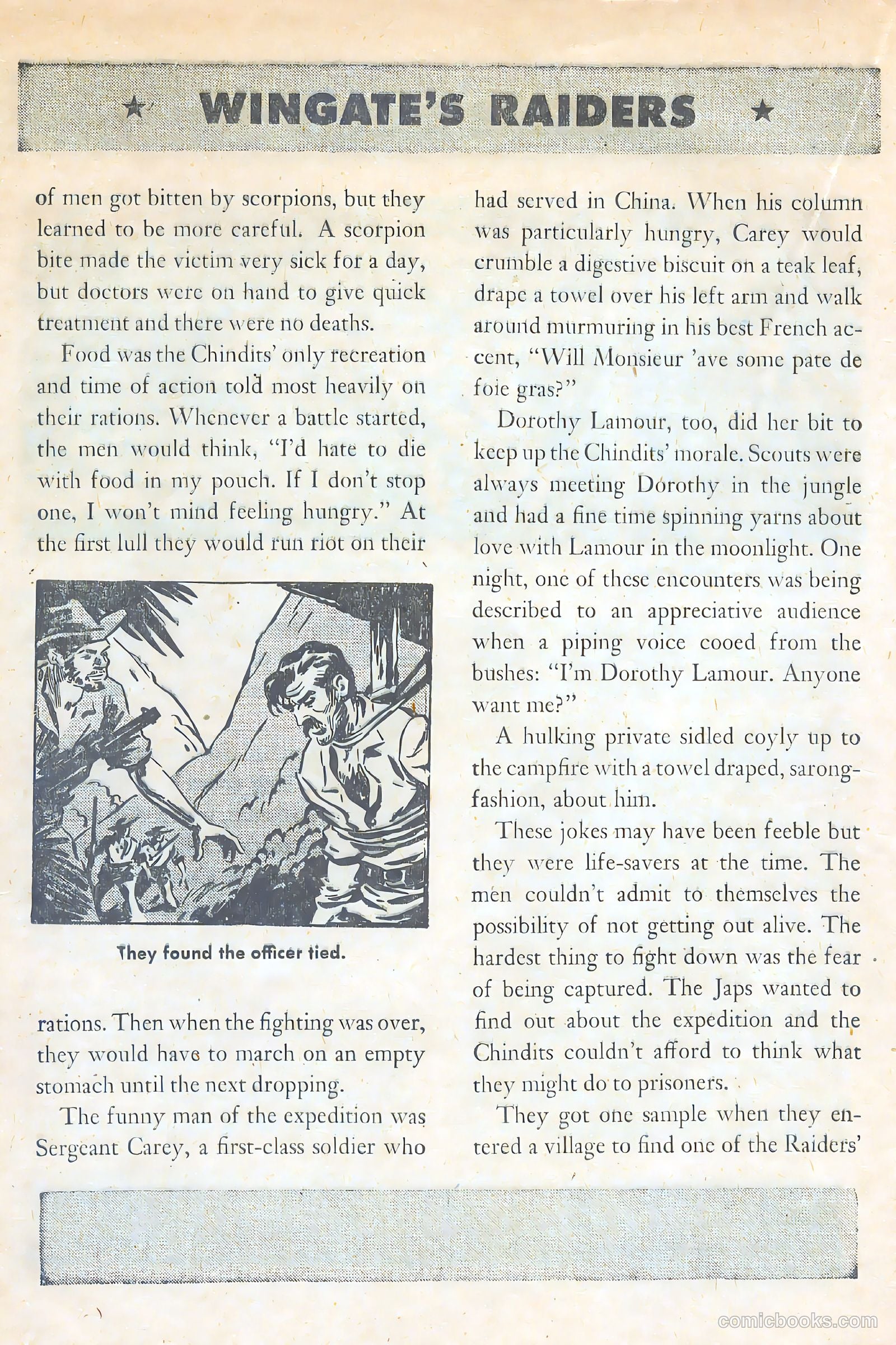 American Library #6 — page 24 of 52