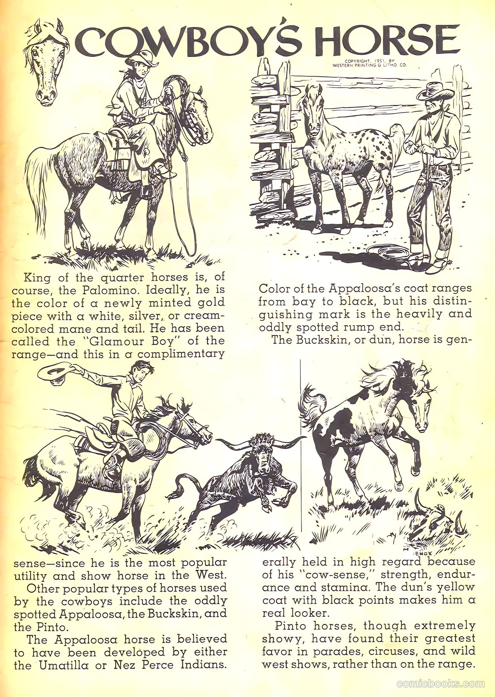 Johnny Mack Brown #7 — page 35 of 36