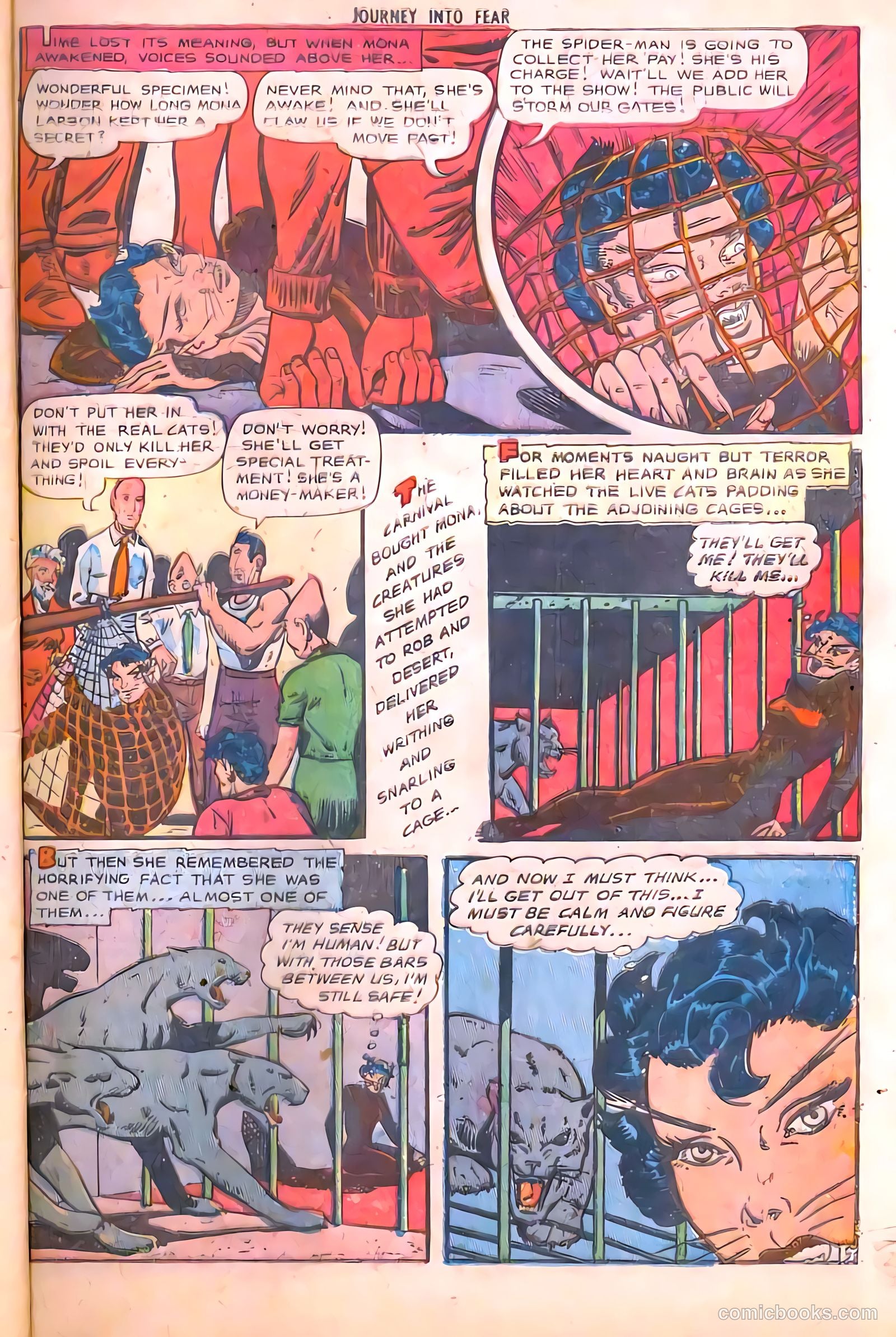 Journey into Fear #4 — page 29 of 36