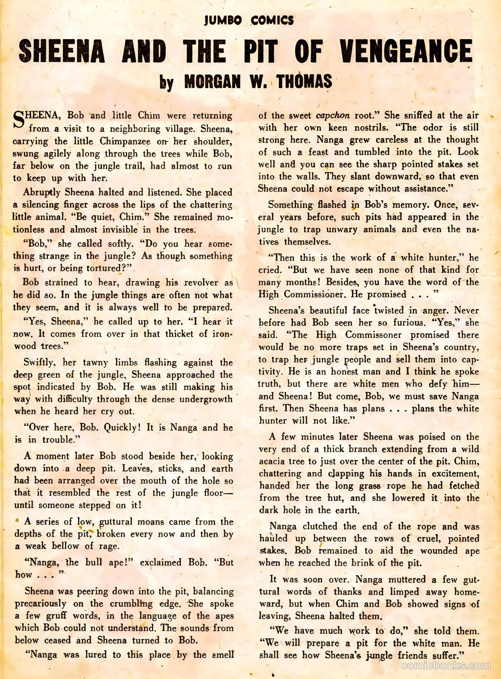 Jumbo Comics #89 — page 29 of 53