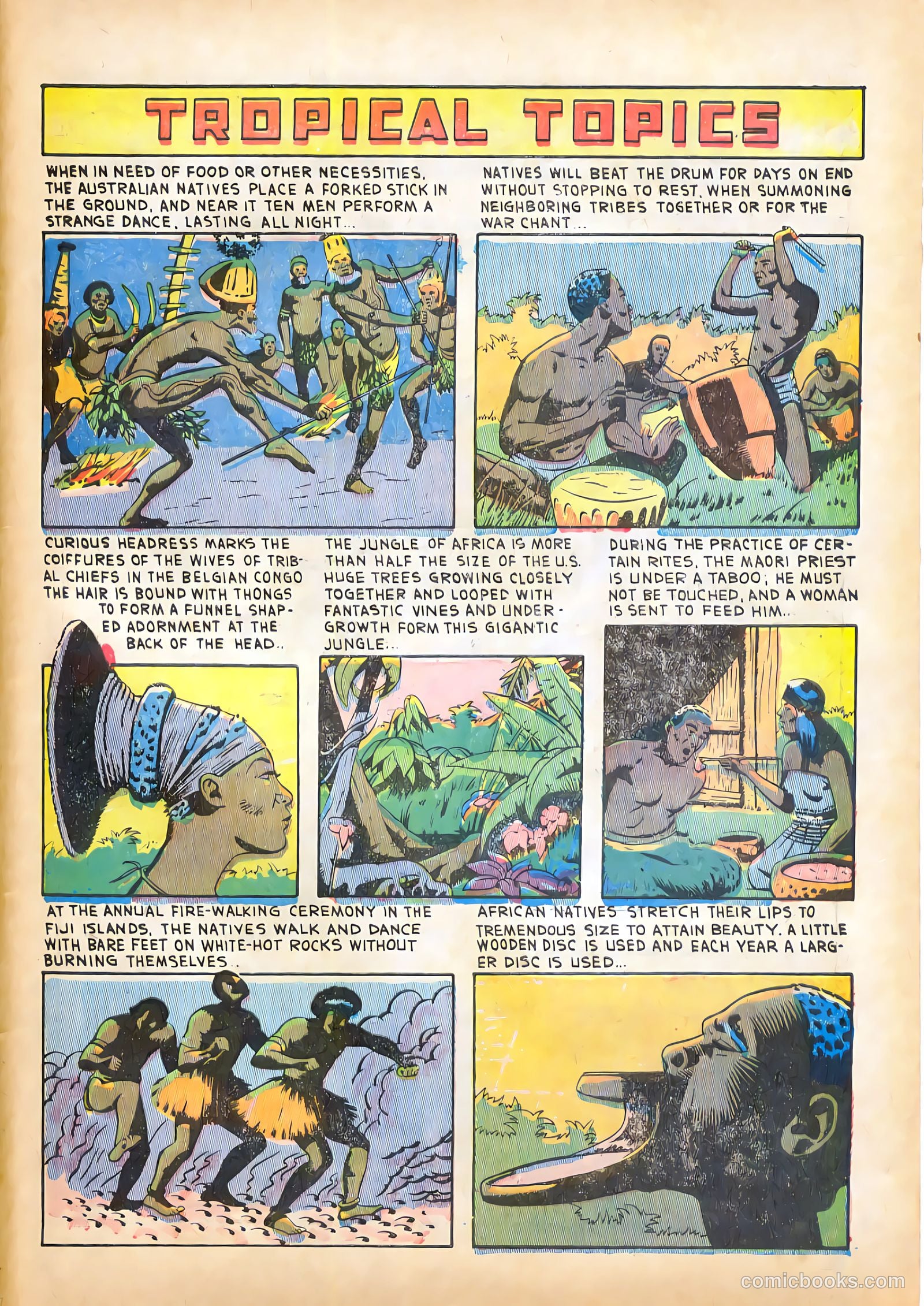 Jungle Adventures #17 — page 33 of 36