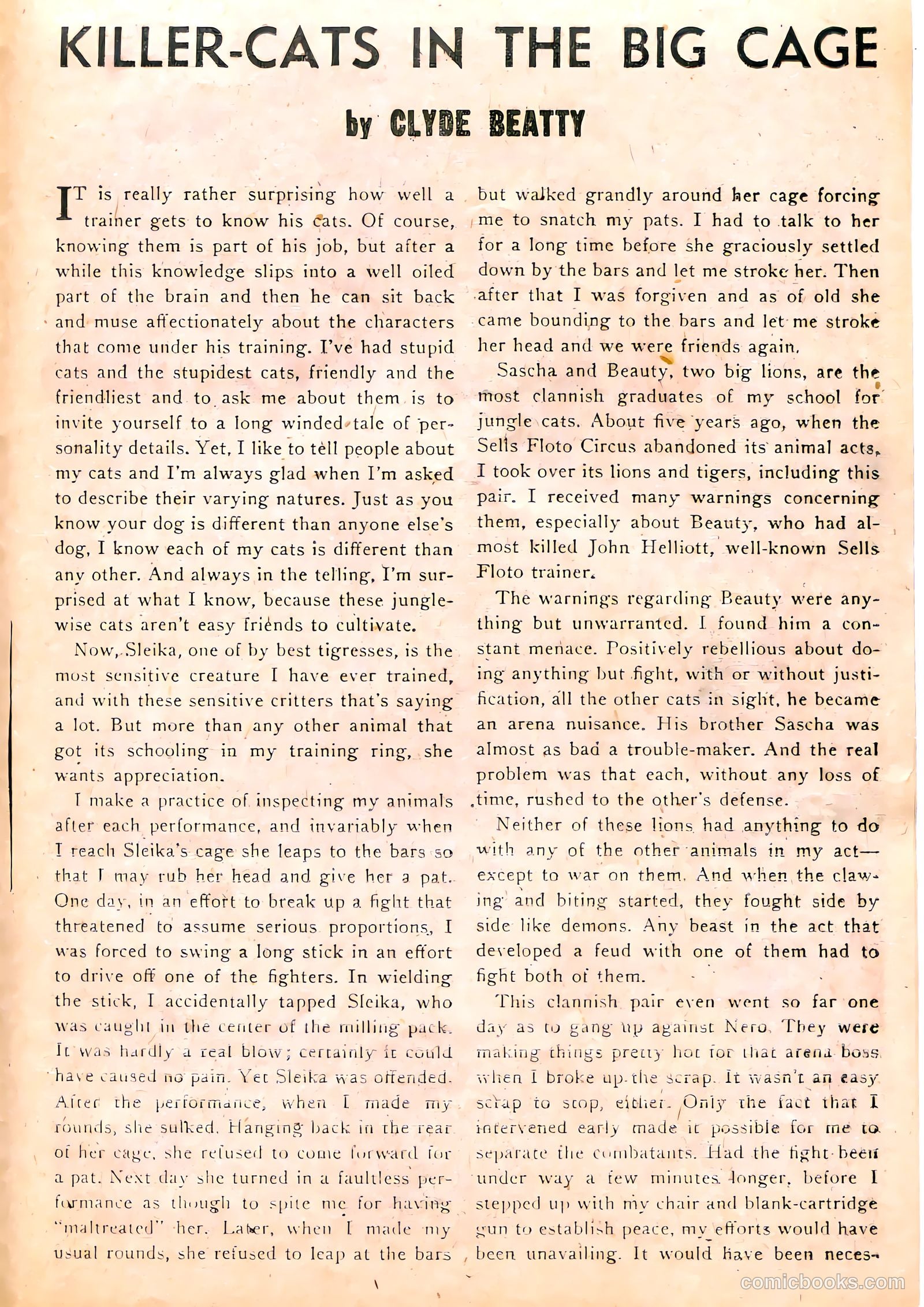 Jungle Comics #141 — page 25 of 36