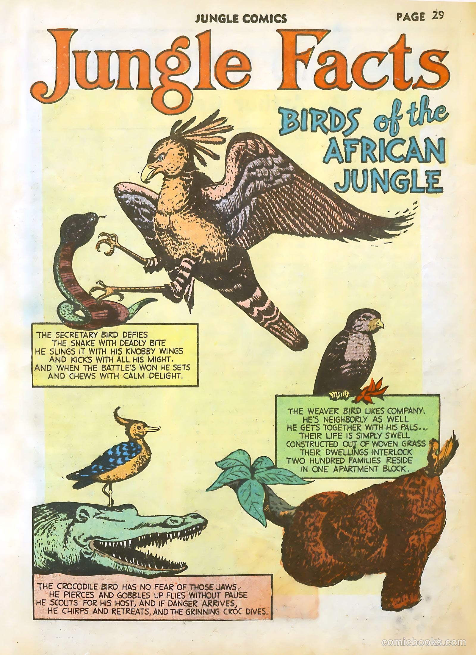 Jungle Comics #17 — page 31 of 68