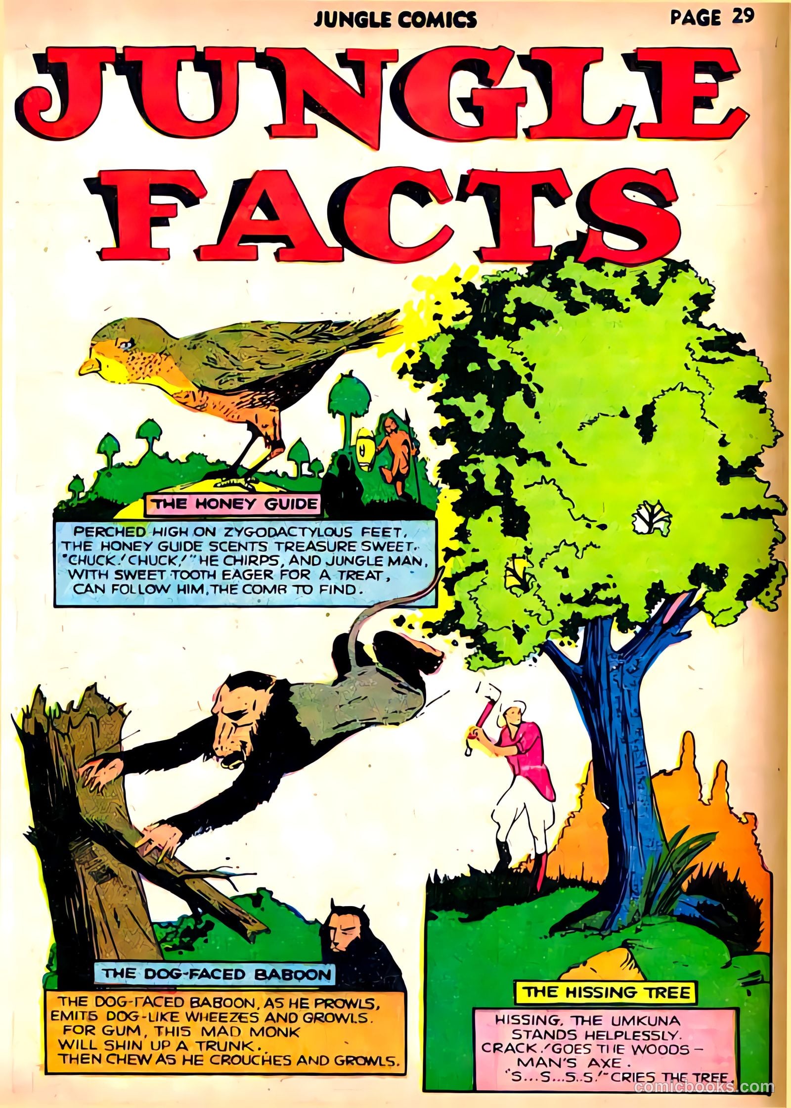 Jungle Comics #22 — page 31 of 68