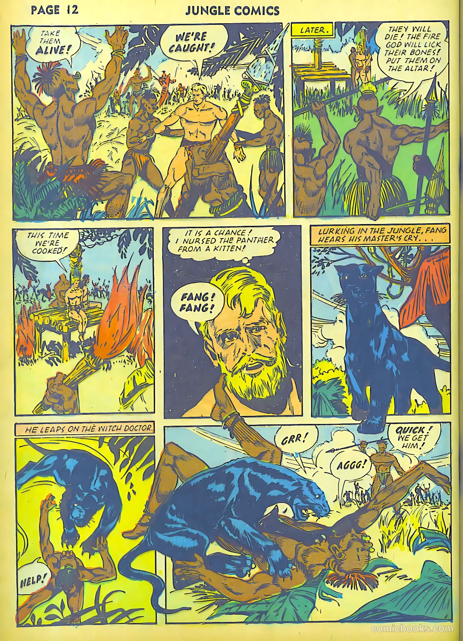Jungle Comics #30 — page 14 of 68