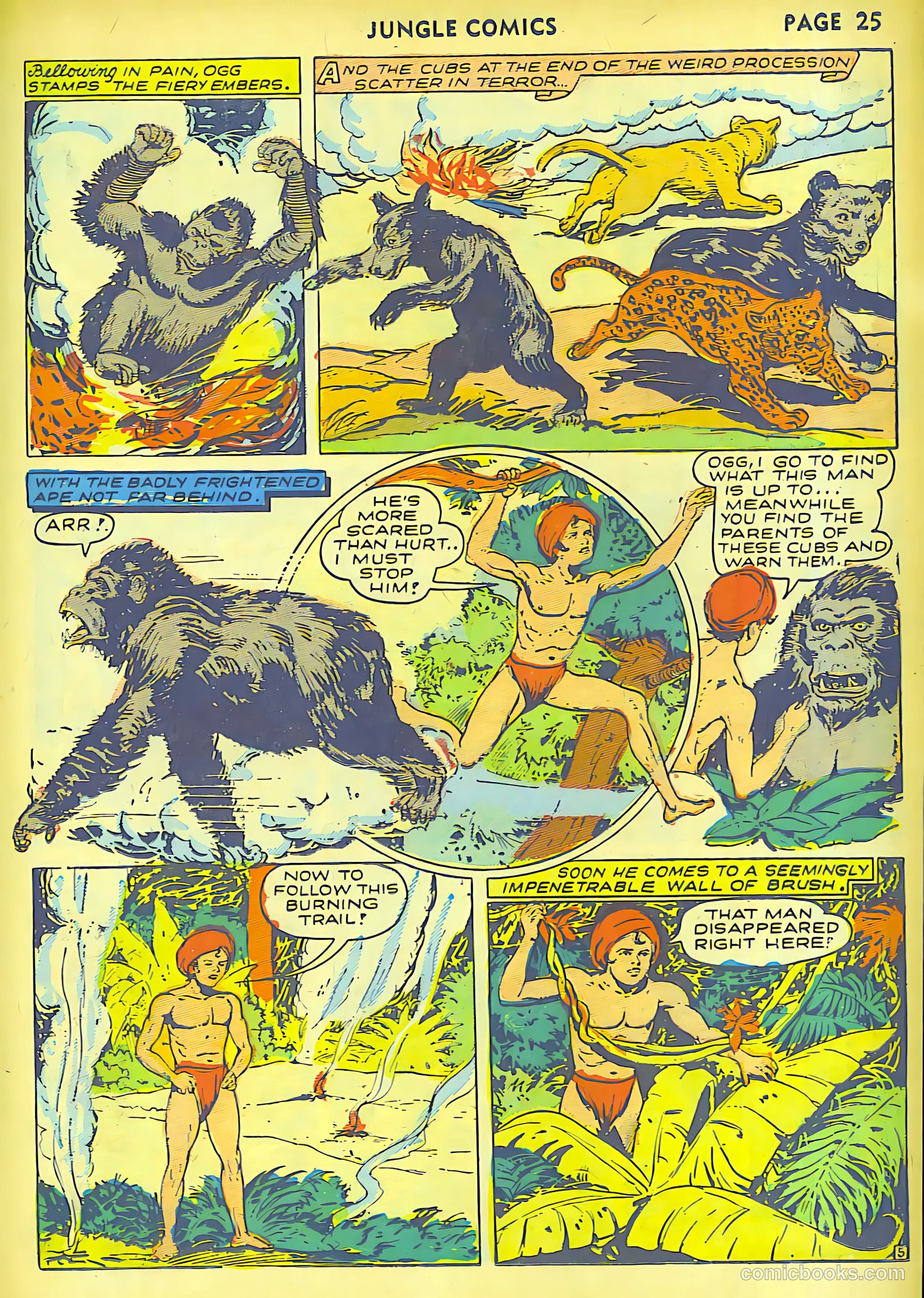 Jungle Comics #30 — page 27 of 68
