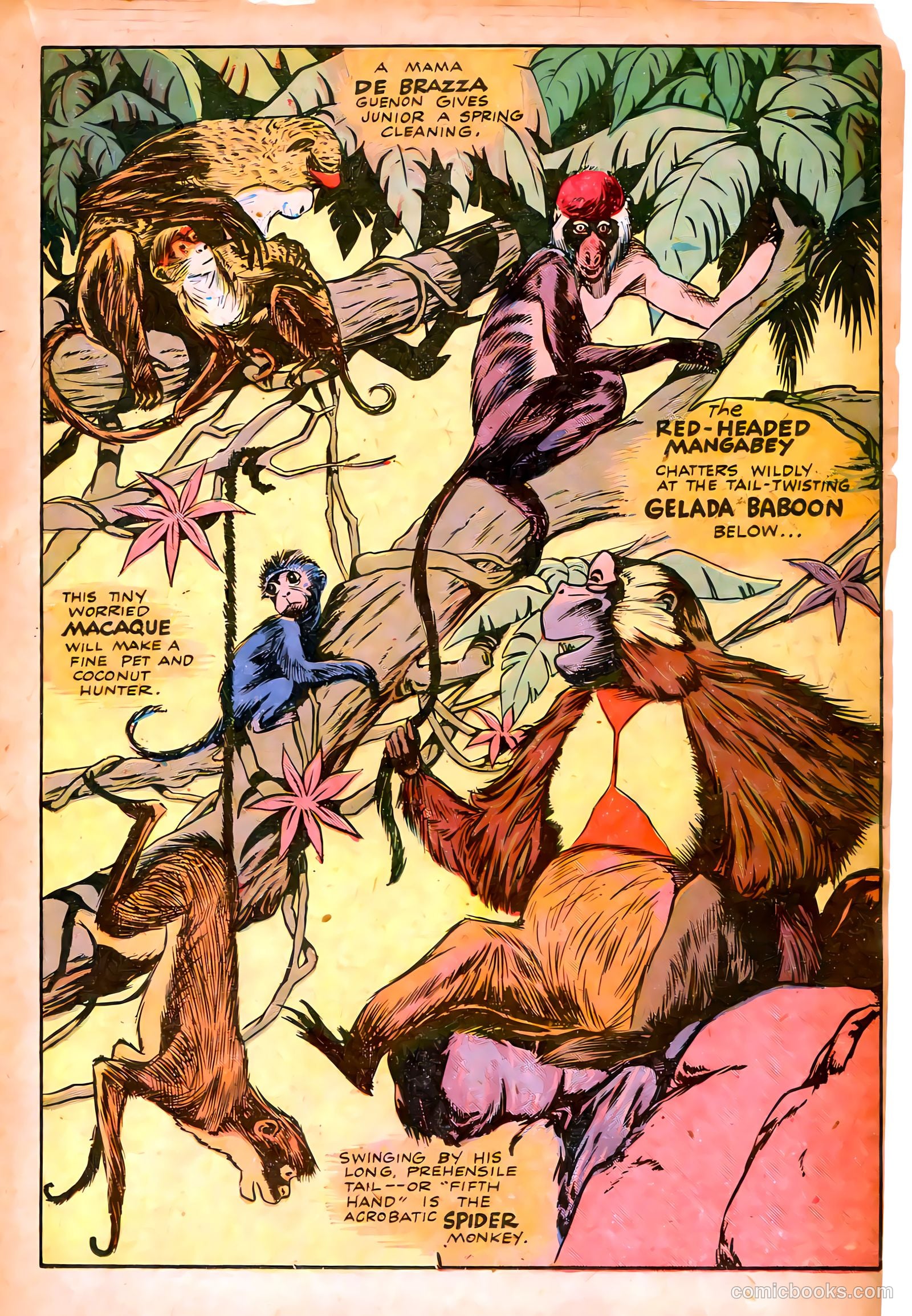 Jungle Comics #53 — page 27 of 52