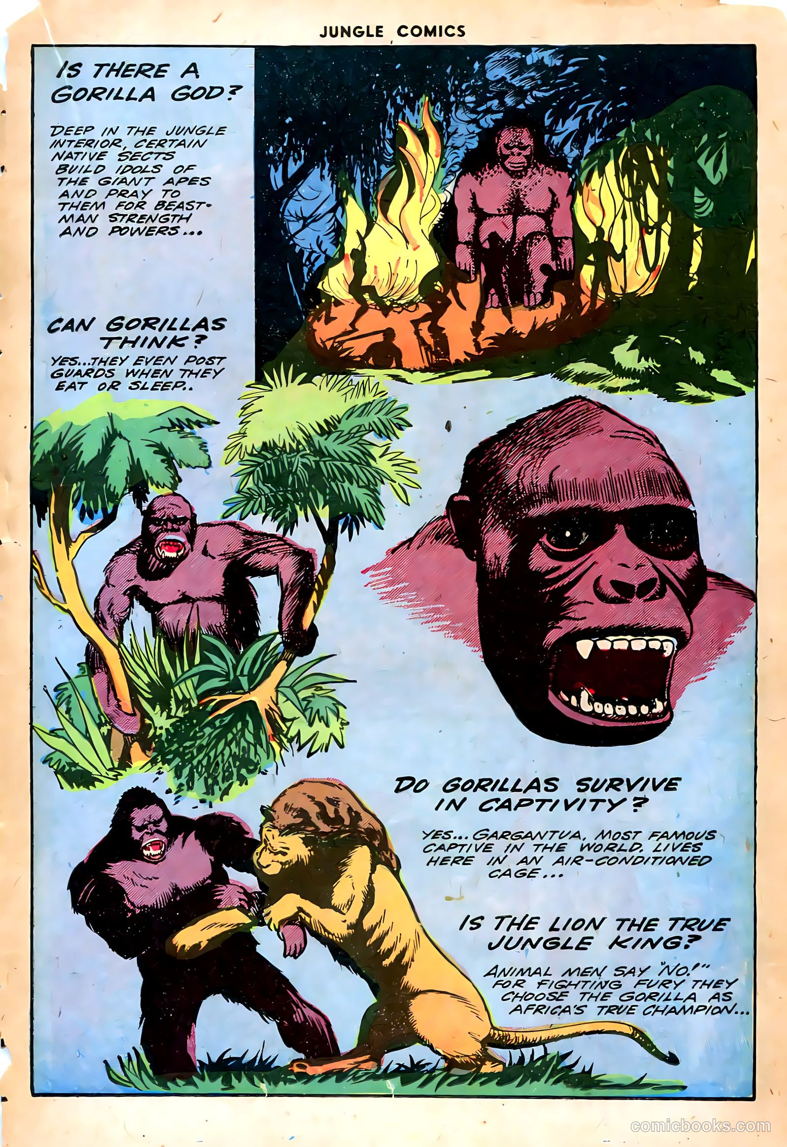 Jungle Comics #55 — page 28 of 53