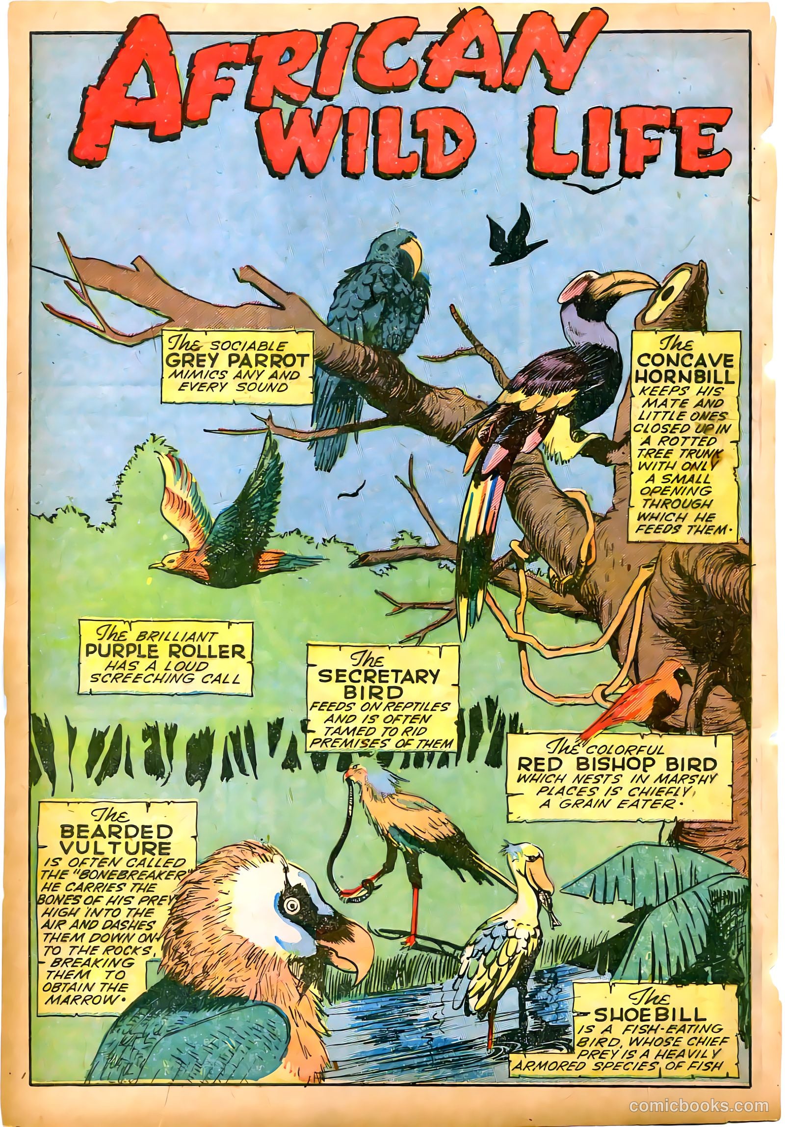 Jungle Comics #58 — page 42 of 52