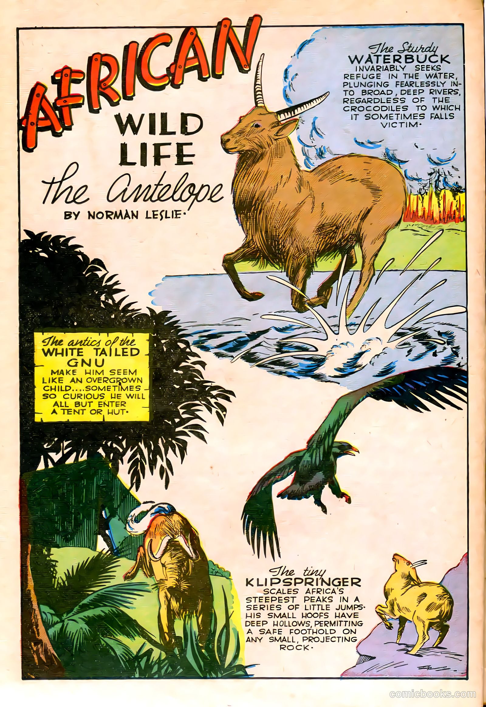 Jungle Comics #59 — page 37 of 53
