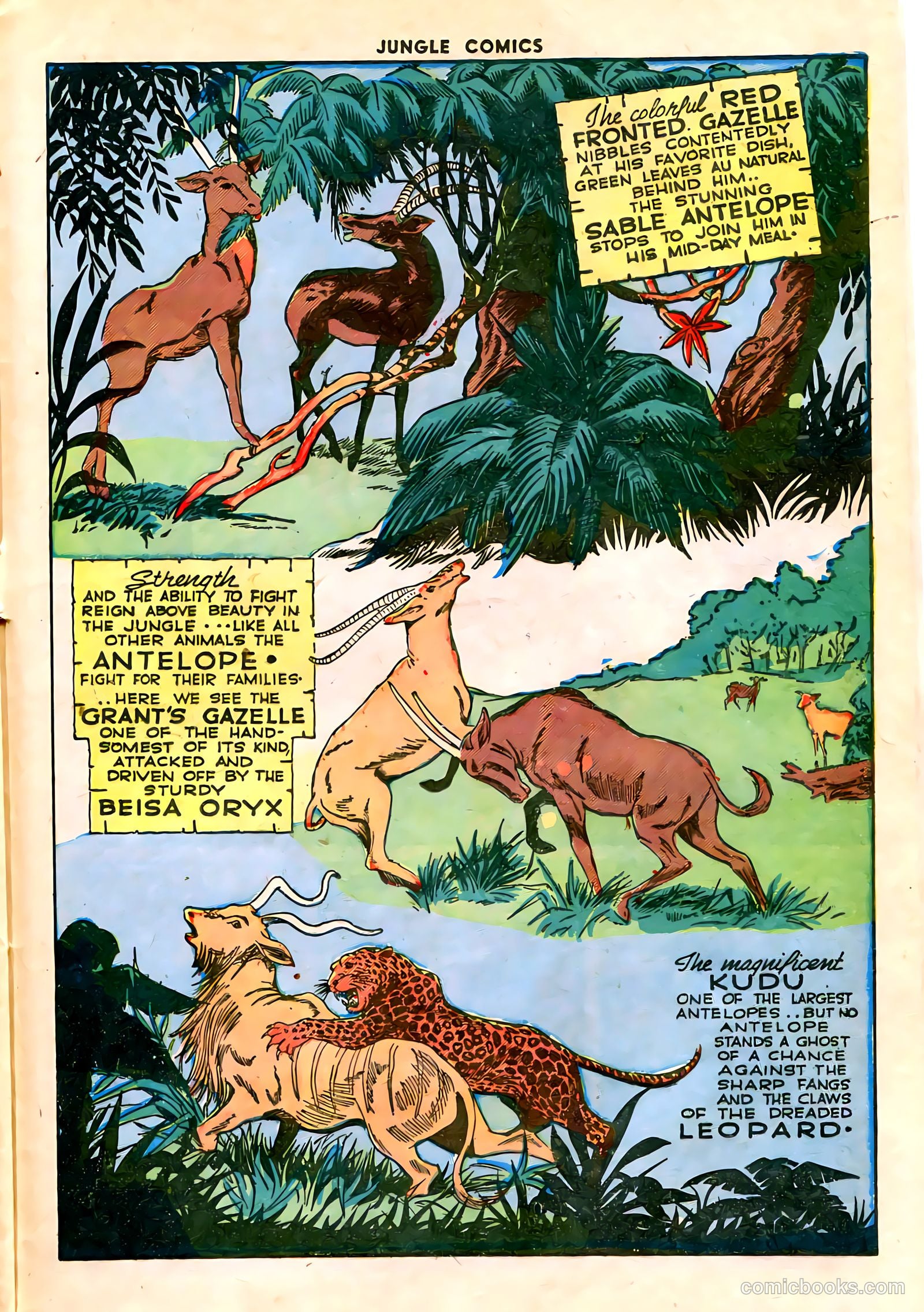 Jungle Comics #59 — page 38 of 53