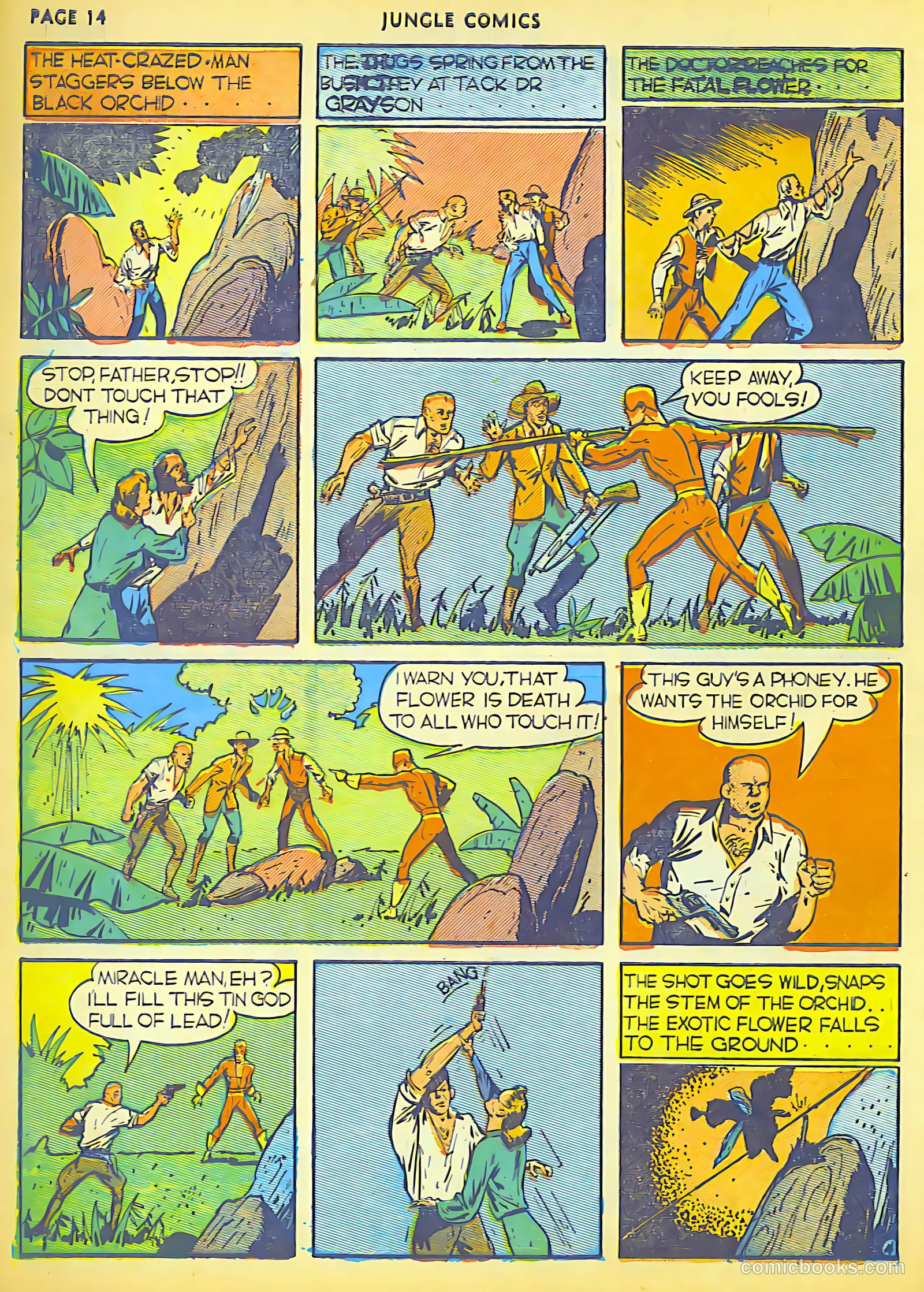 Jungle Comics #6 — page 5 of 68
