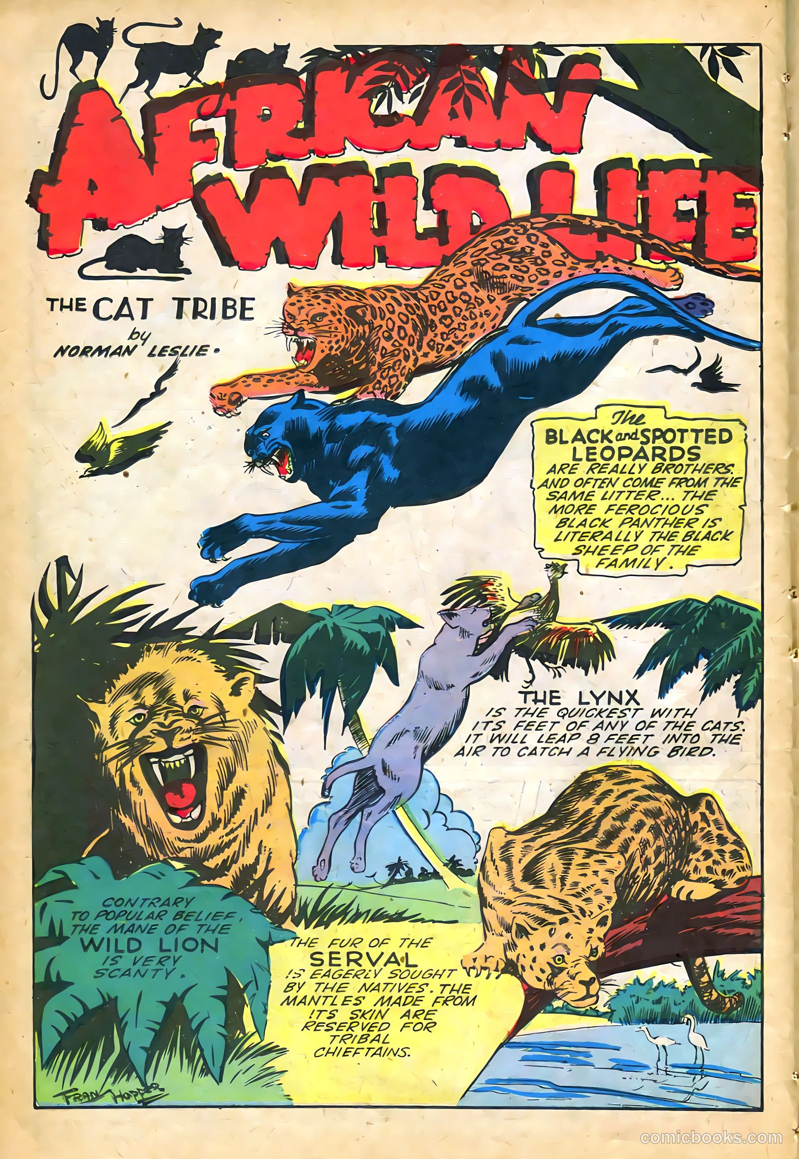 Jungle Comics #61 — page 36 of 52