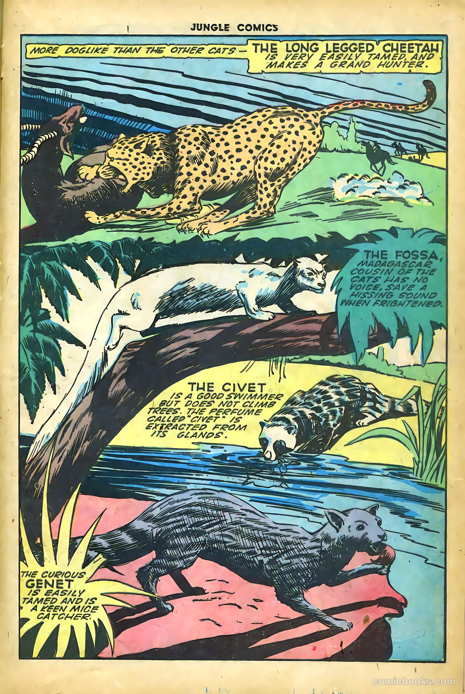 Jungle Comics #61 — page 37 of 52