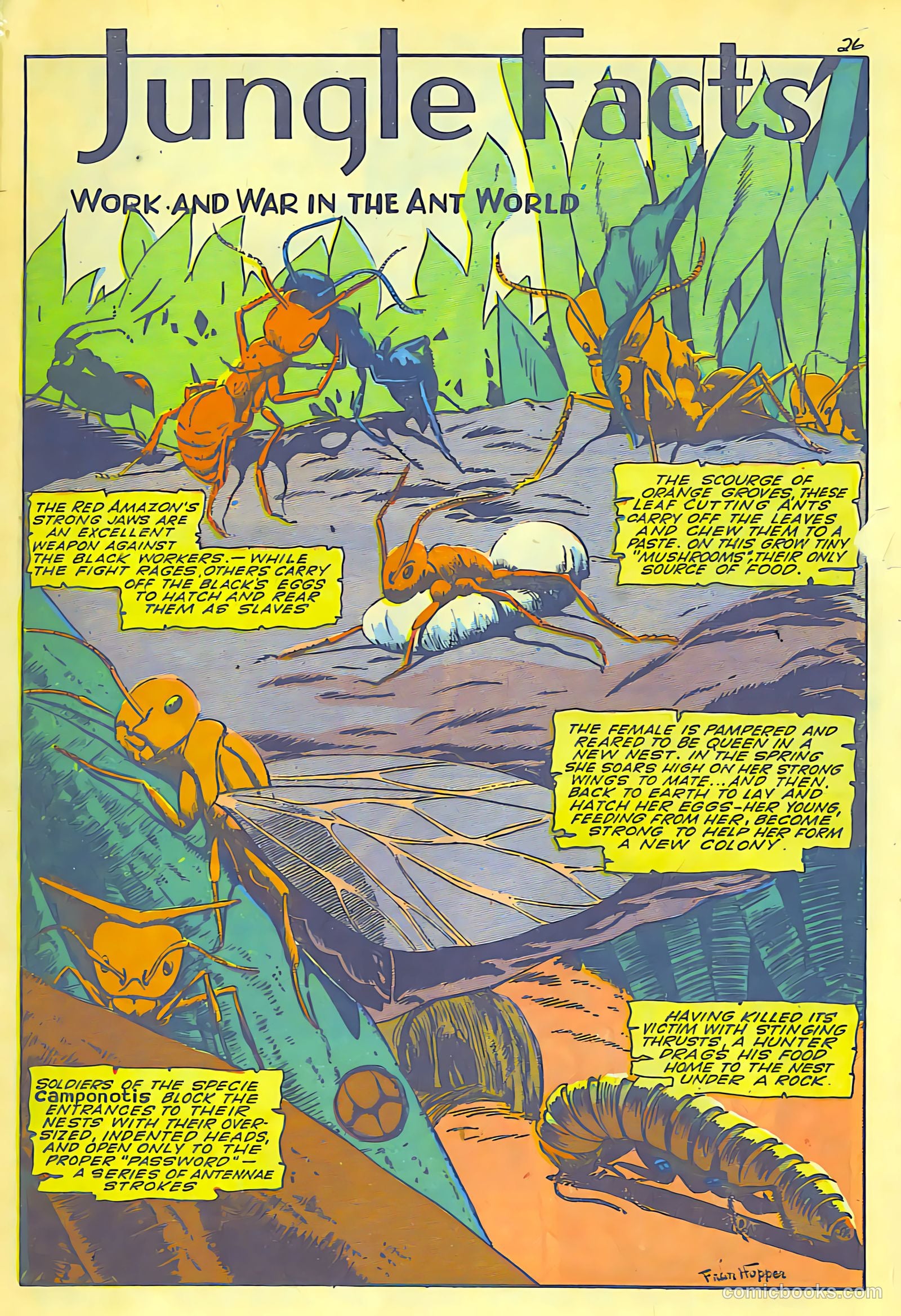 Jungle Comics #62 — page 28 of 52