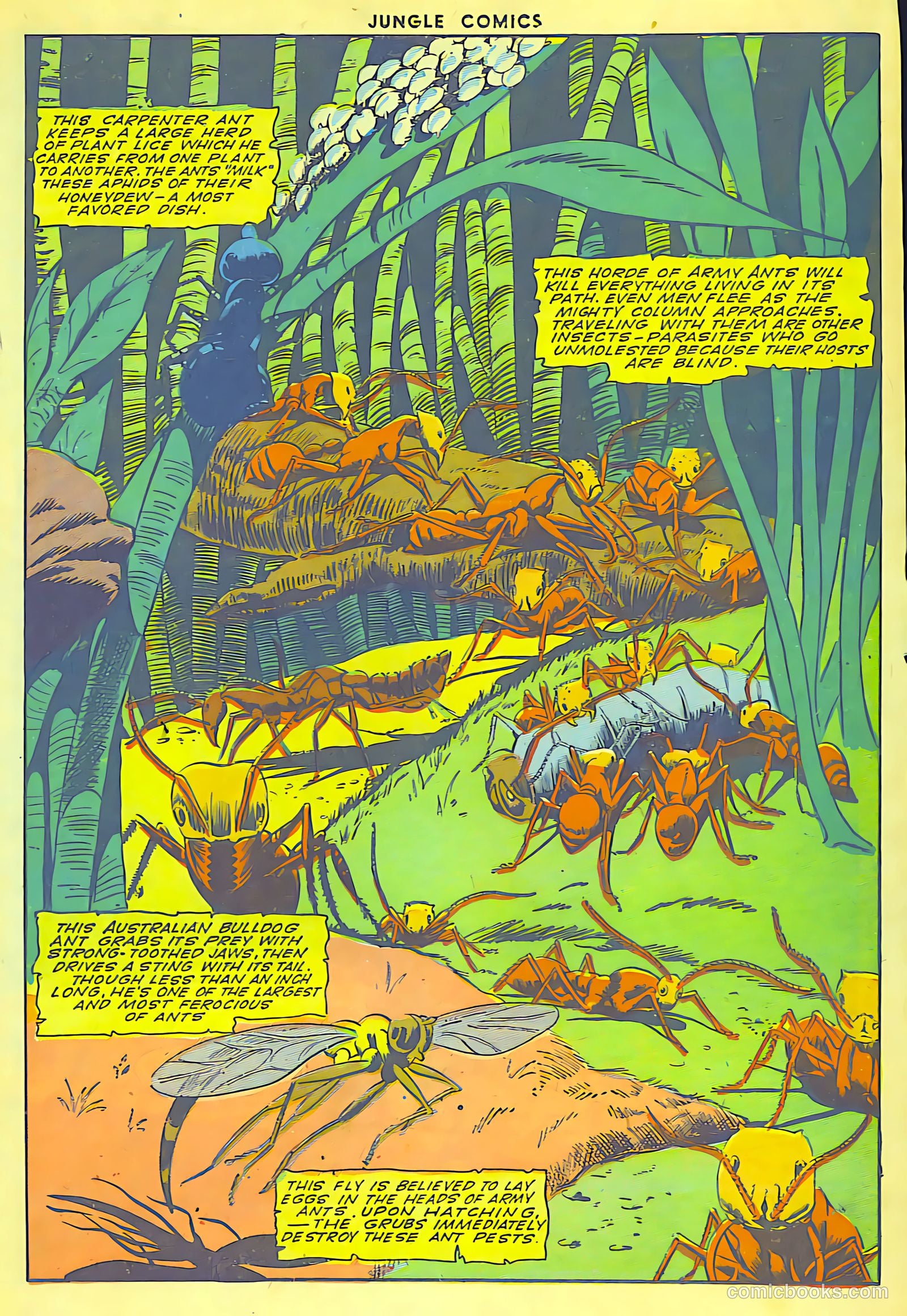 Jungle Comics #62 — page 29 of 52