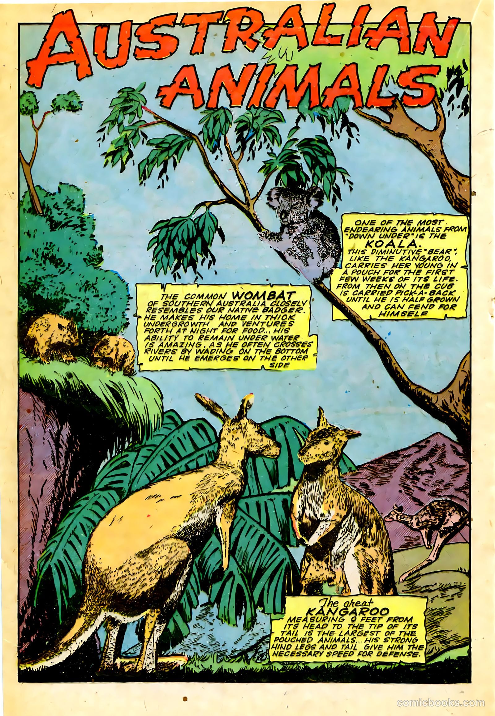 Jungle Comics #63 — page 29 of 53