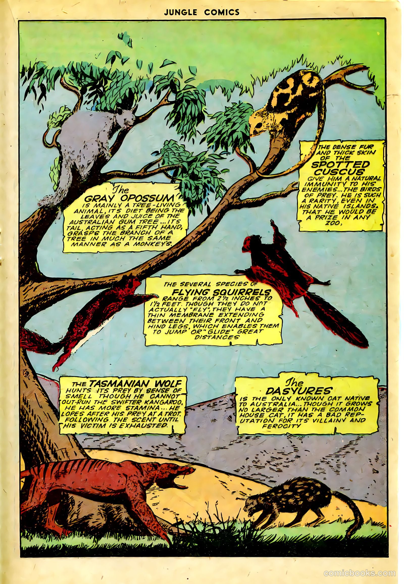 Jungle Comics #63 — page 30 of 53